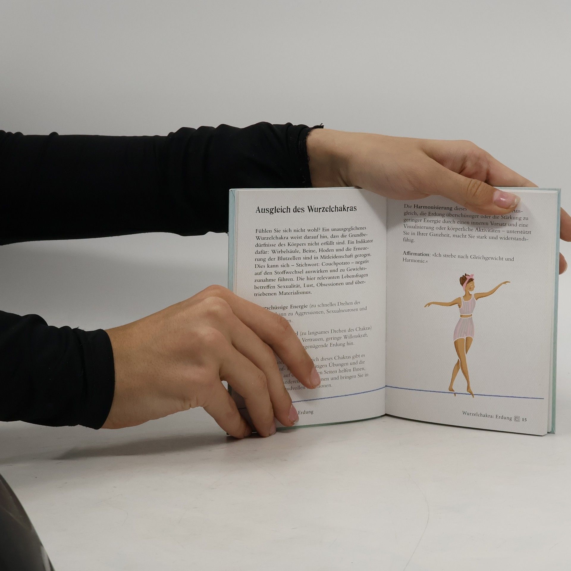 Patricia Mercier Das kleine Buch der Chakras