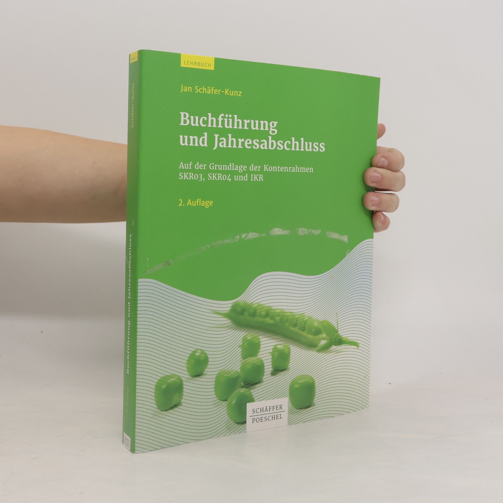 Jan Schäfer-Kunz Buchführung und Jahresabschluss - 2. Auflage