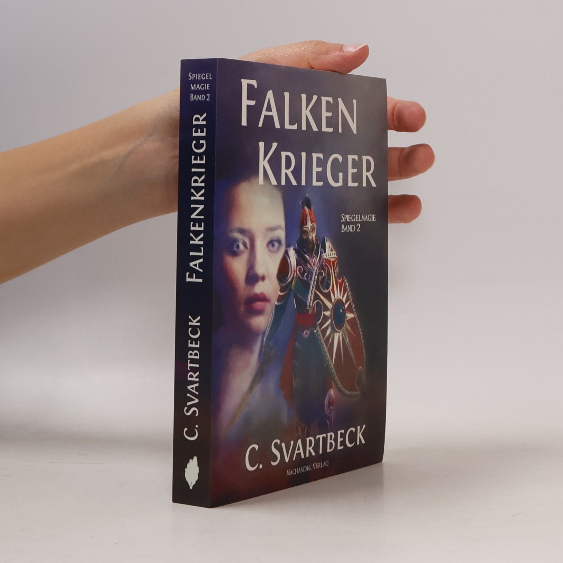 Chris Svartbeck Spiegelmagie - 2: Falkenkrieger