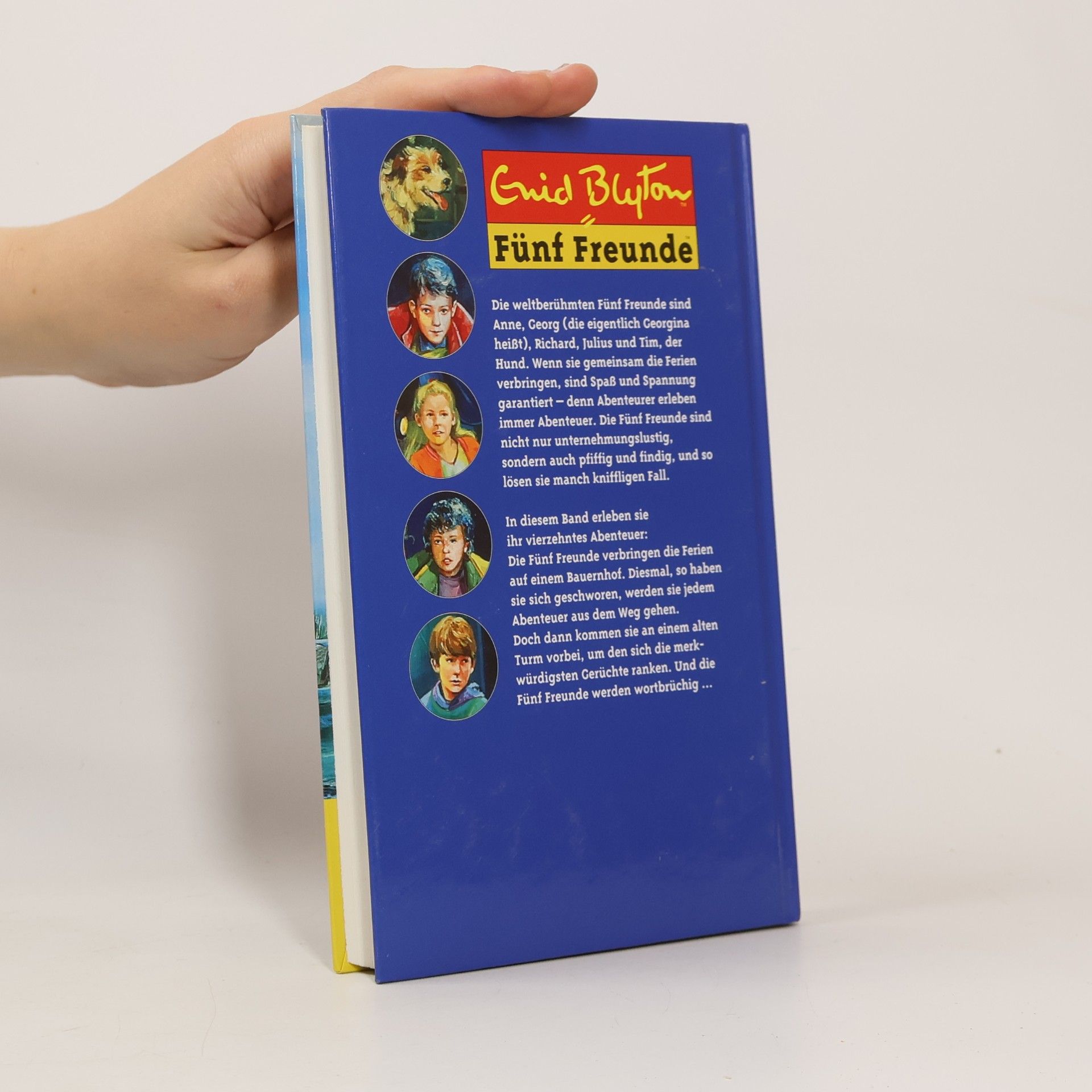 Enid Blyton Fünf Freunde verfolgen die Strandräuber