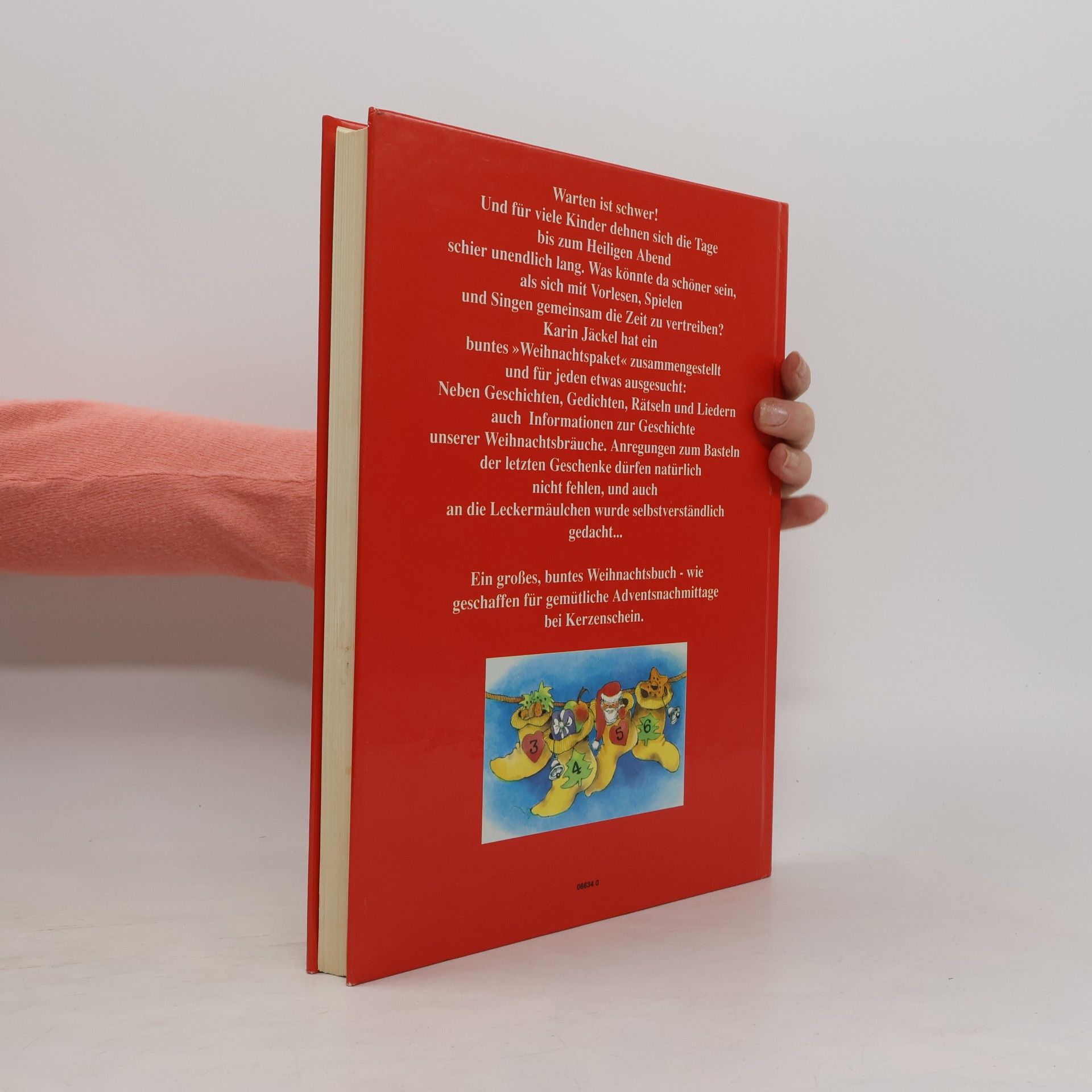 Karin Jäckel Das große bunte Weihnachtsbuch