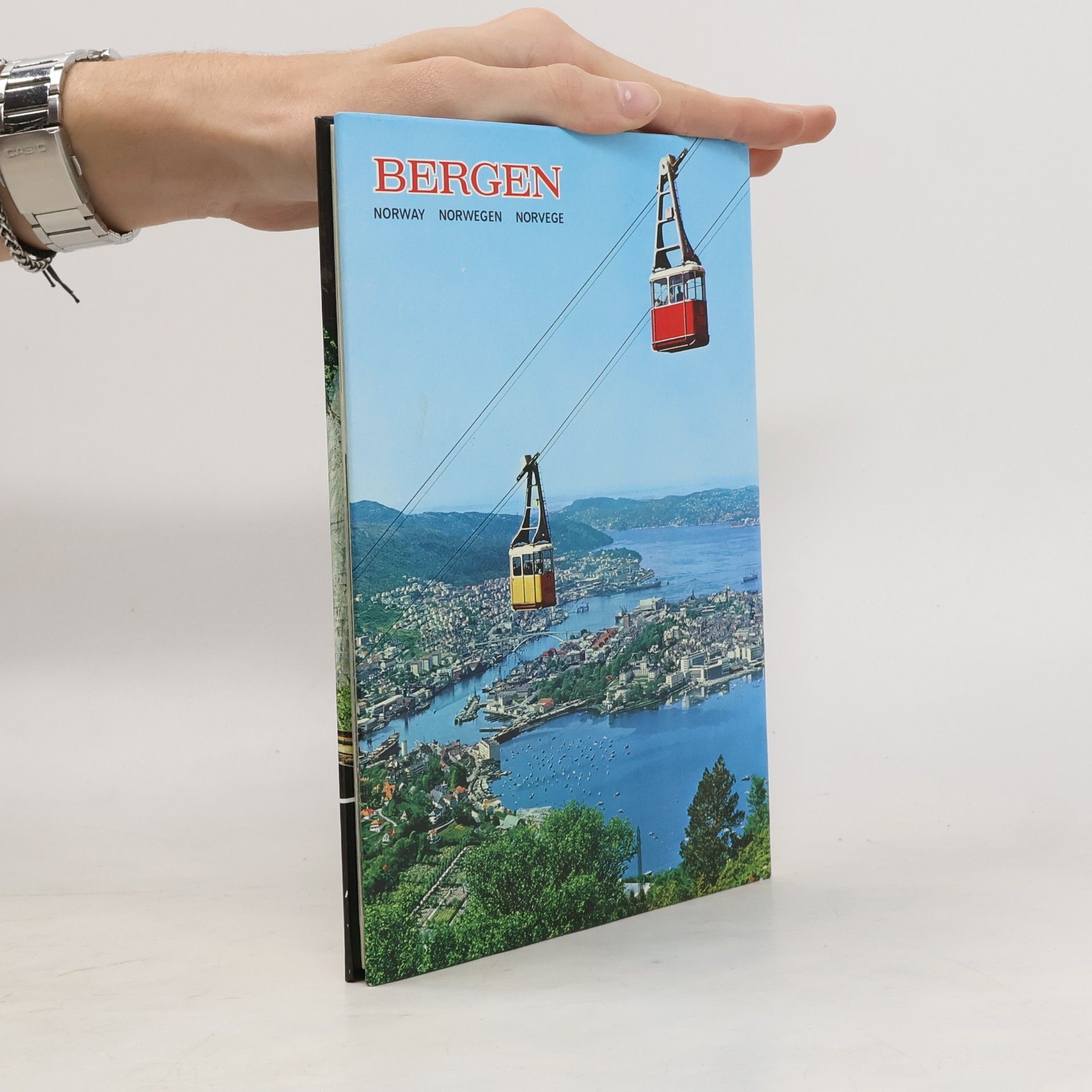 Collectif d'auteurs Bergen
