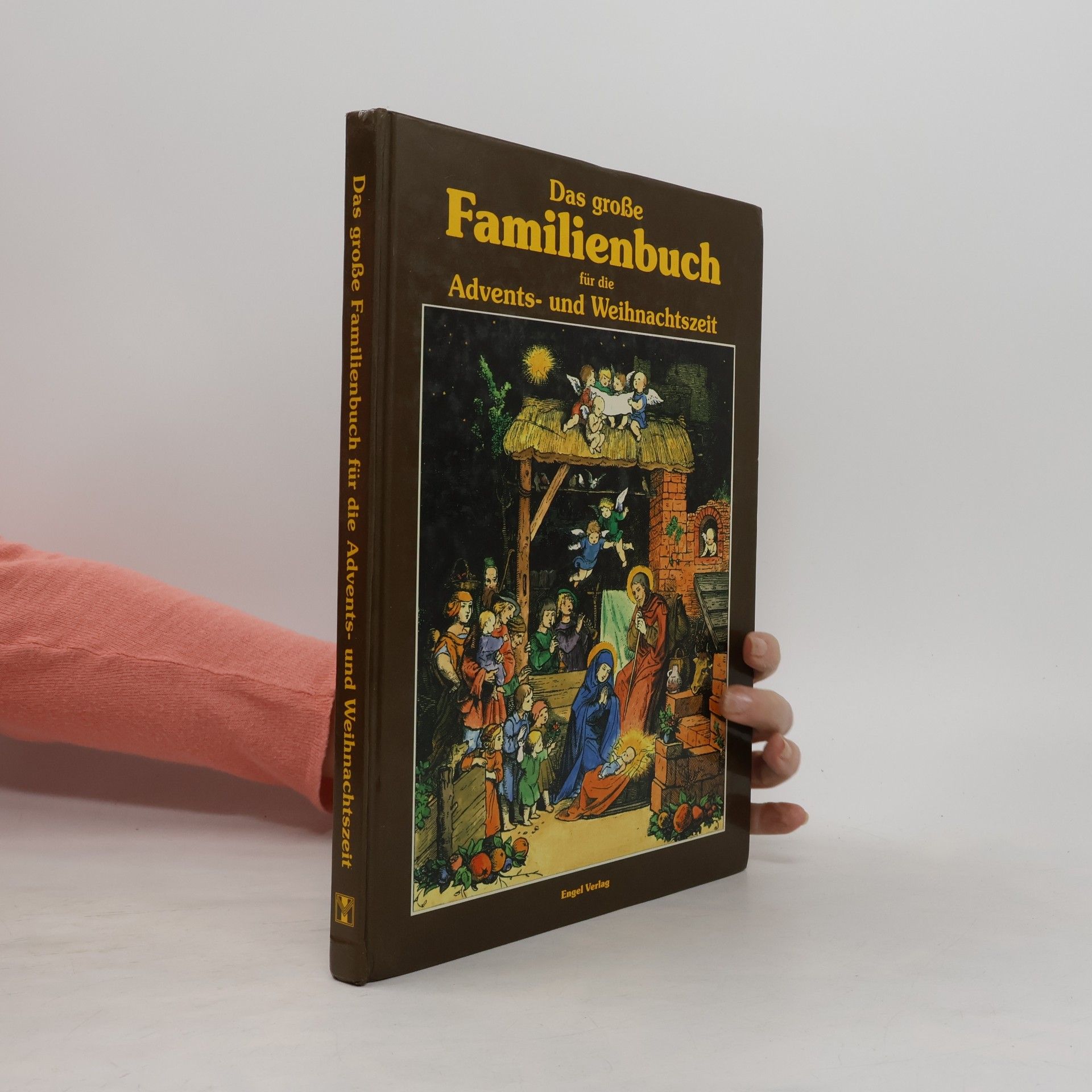Kolektív autorov Das große Familienbuch für die Advents-und Weihnachtszeit
