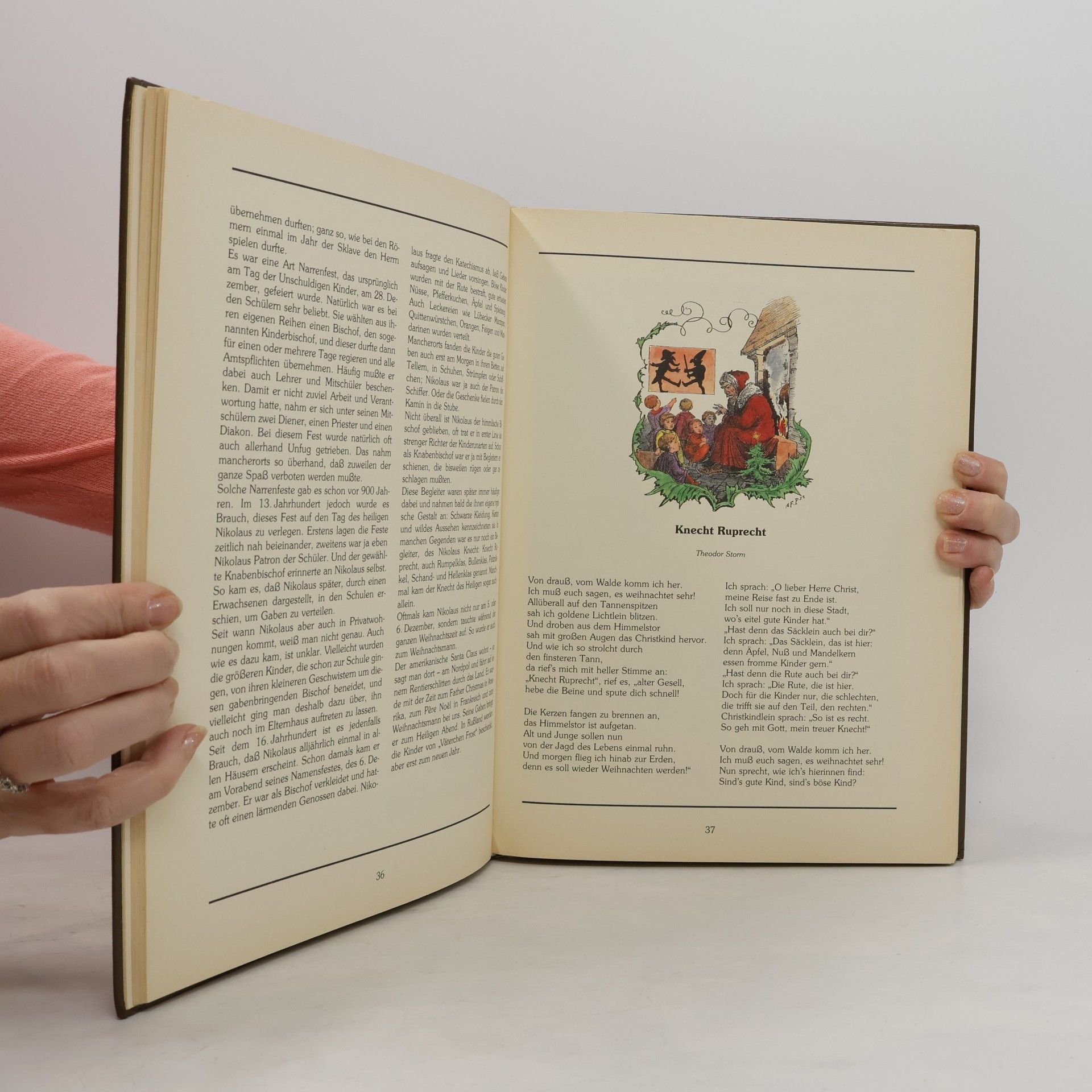 Kolektív autorov Das große Familienbuch für die Advents-und Weihnachtszeit