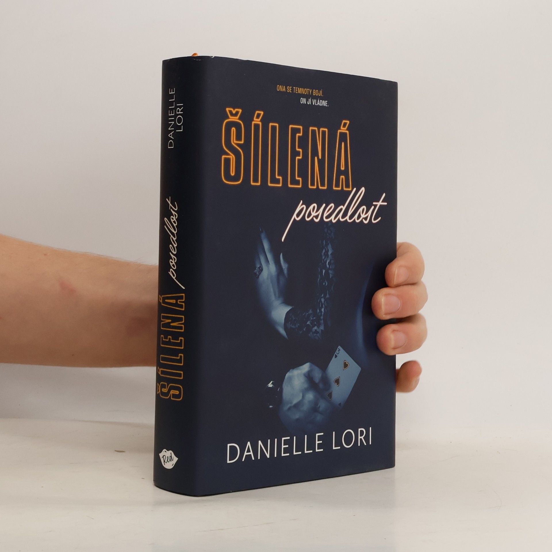 Danielle Lori Šílená posedlost