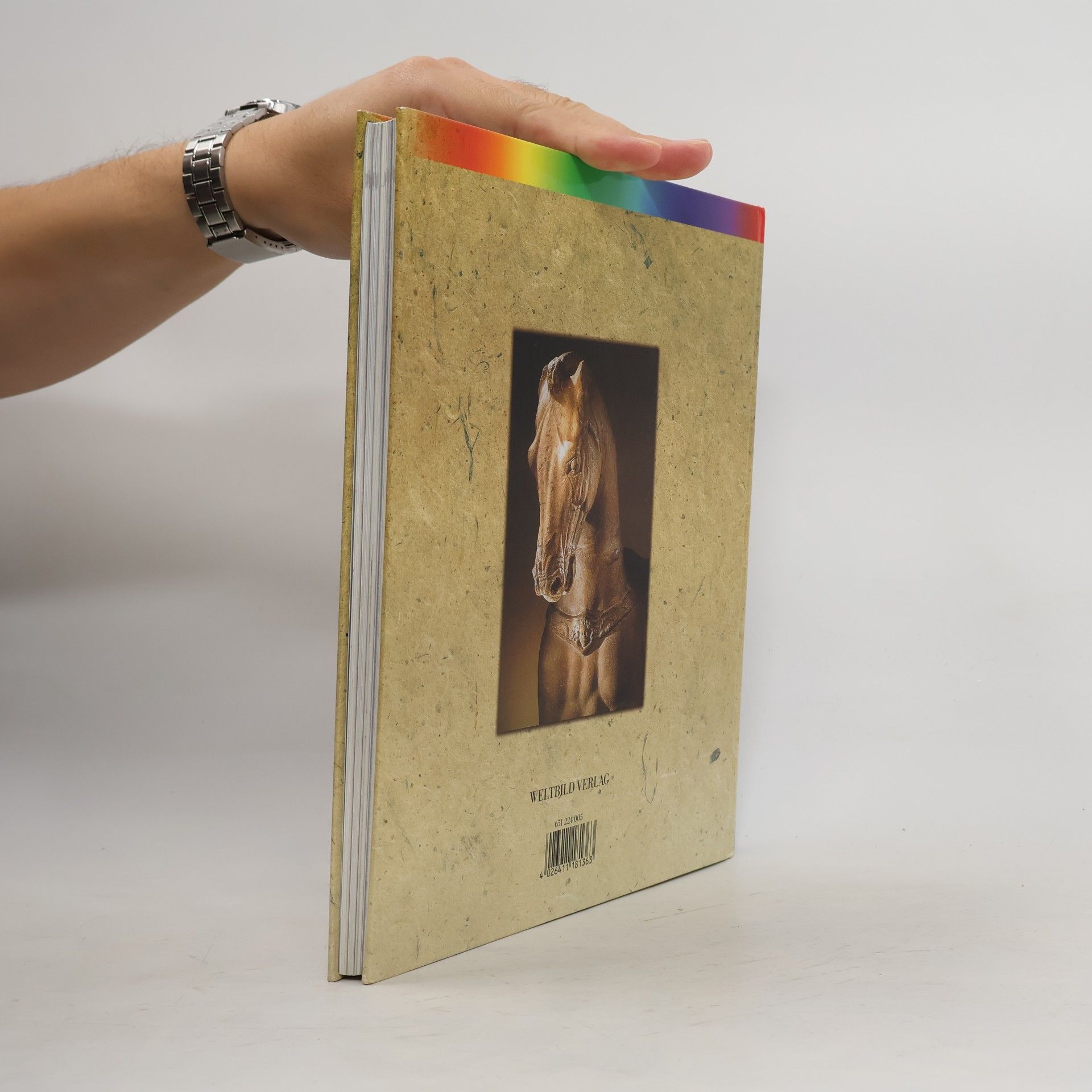 Collectif d'auteurs Rom wird Weltmacht
