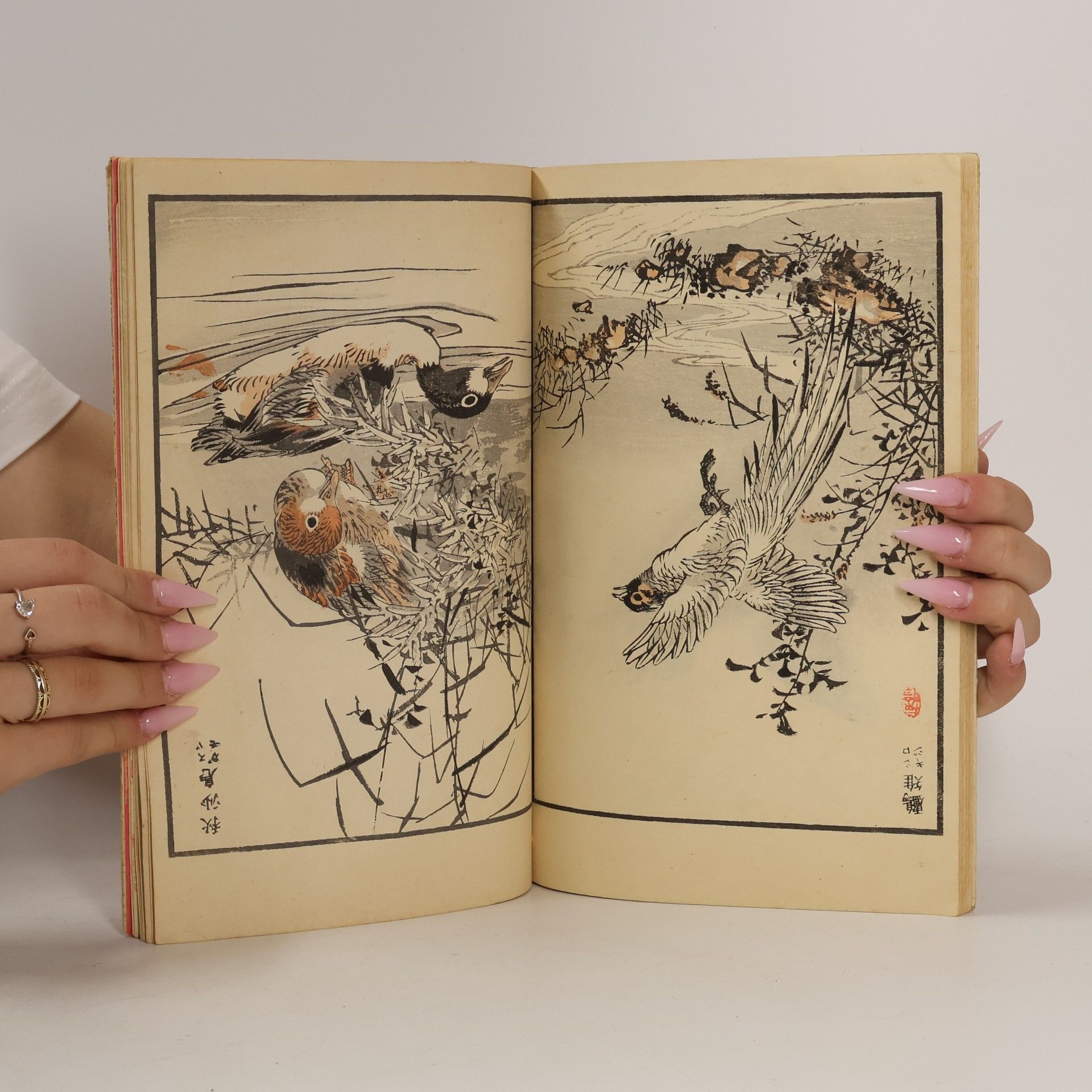 Kono Bairei 楳嶺百鳥畫譜