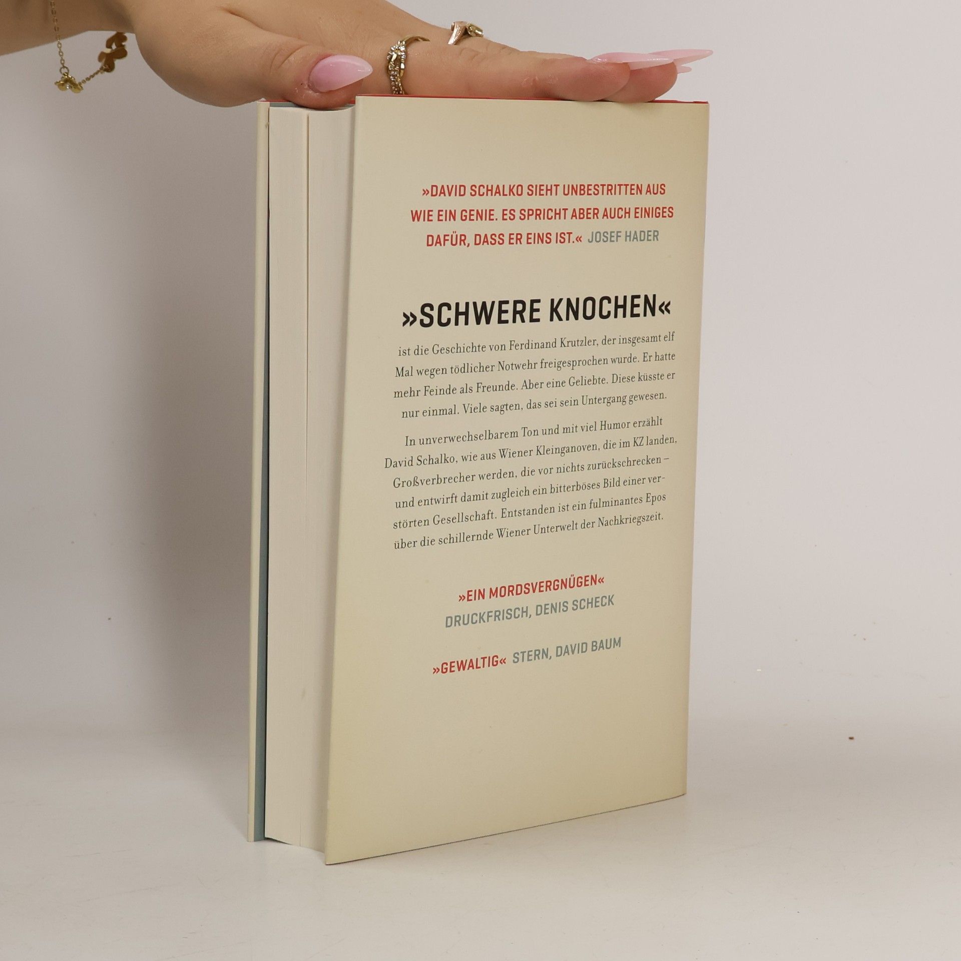 David Schalko Schwere Knochen
