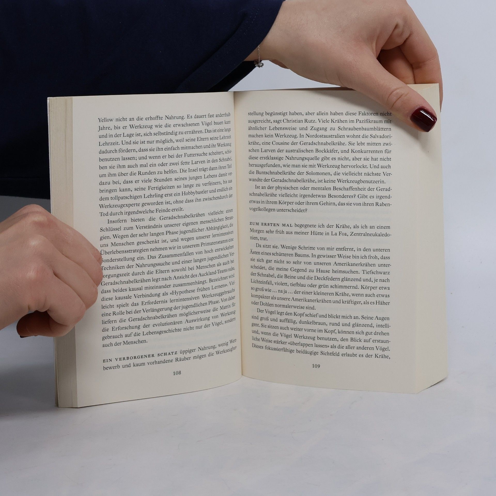 Jennifer Ackerman Die Genies der Lüfte