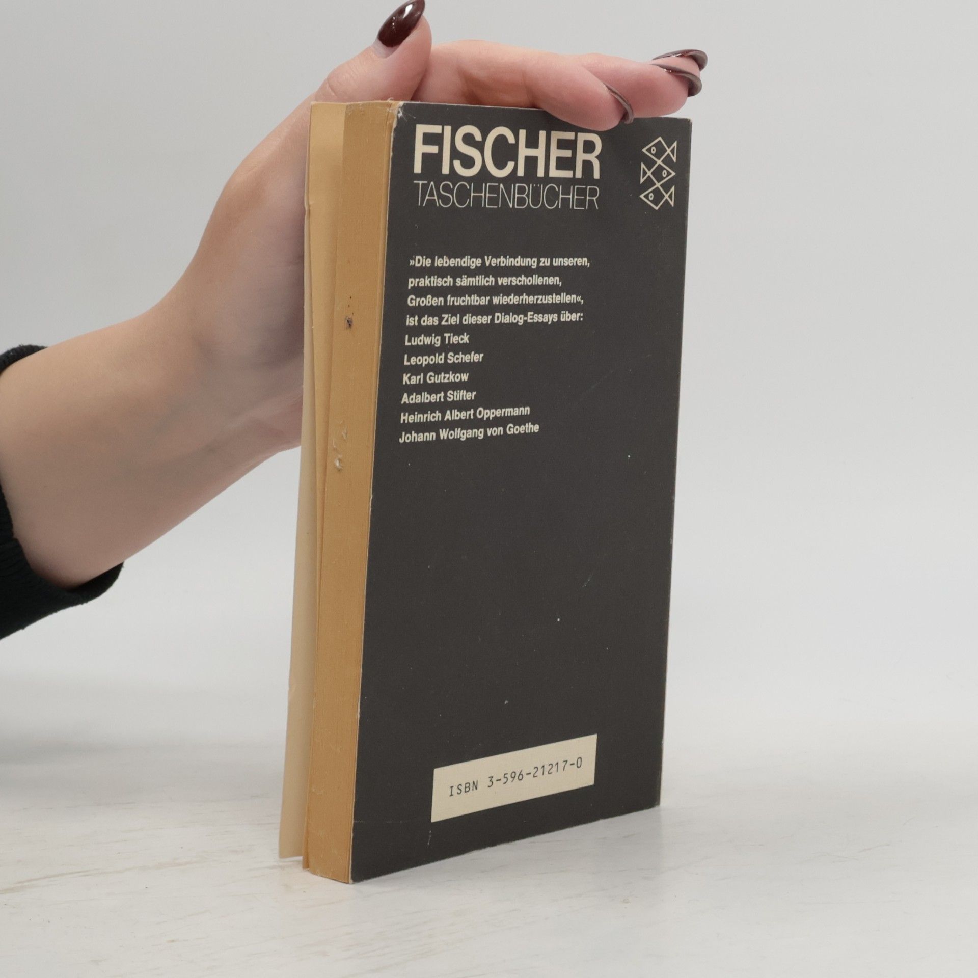 Arno Schmidt Nachrichten von Büchern und Menschen. Tl.2. Zur Literatur des 19. Jahrhunderts