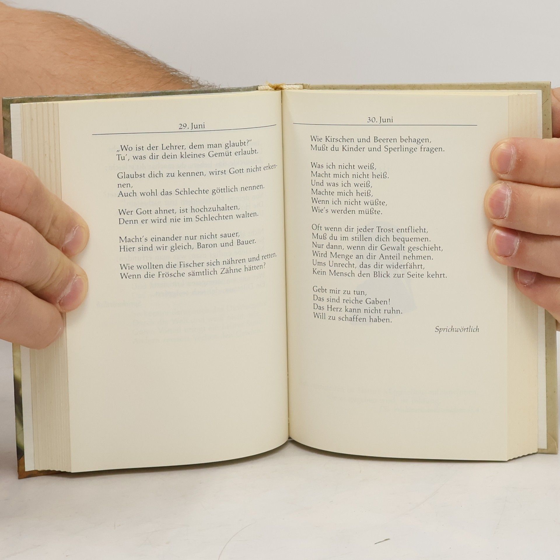 Alfred Müller Goethe für jeden Tag