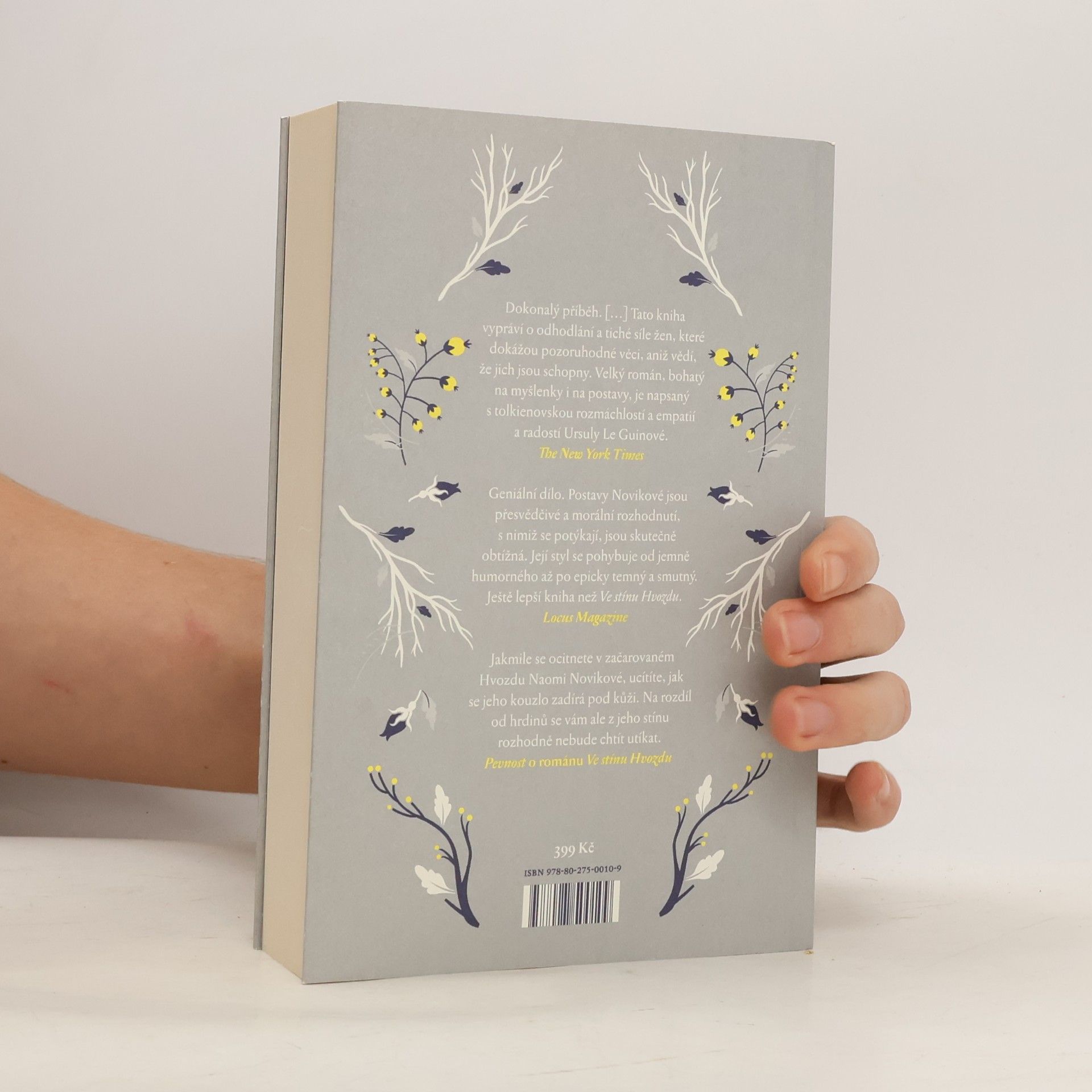 Naomi Novik V zajetí zimy