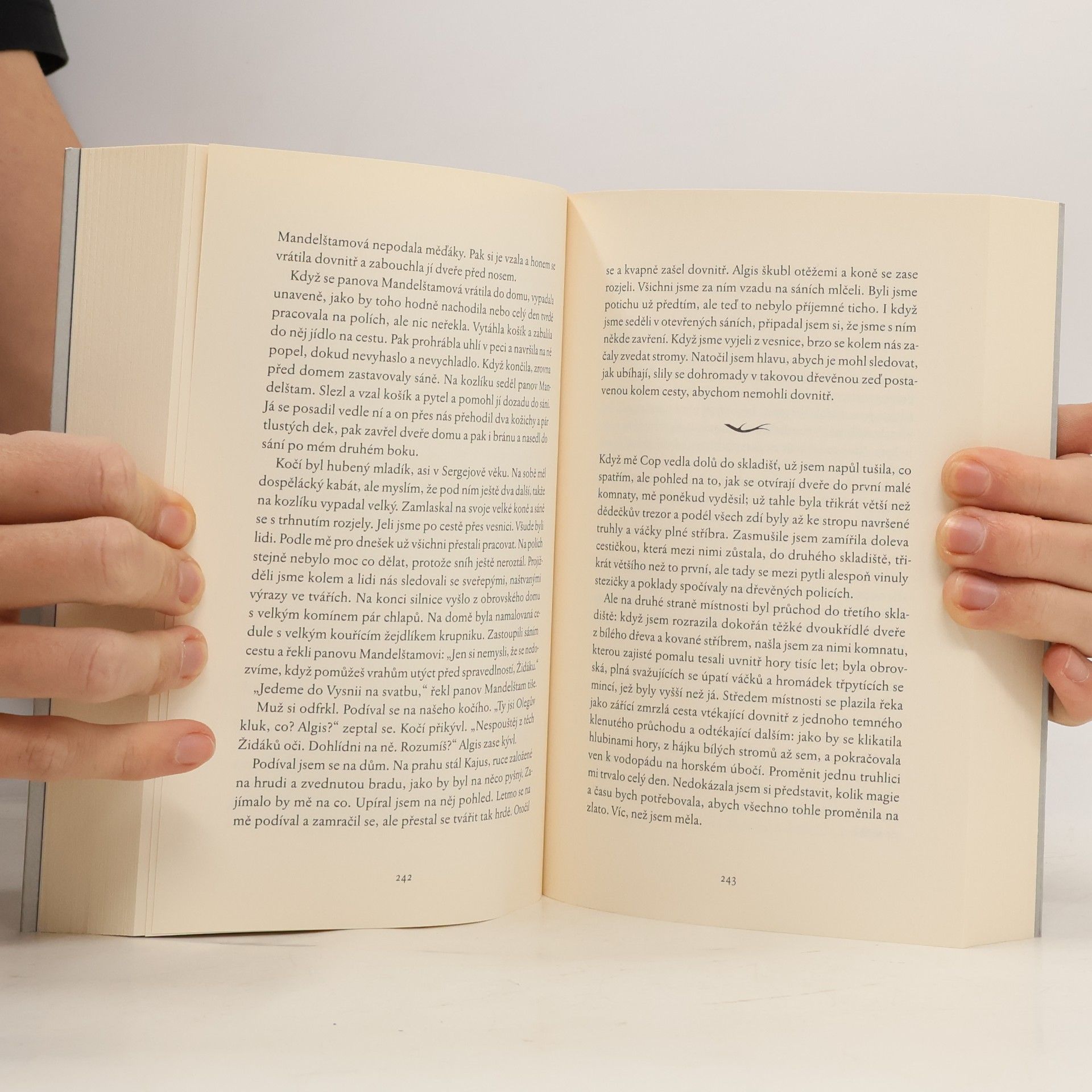 Naomi Novik V zajetí zimy