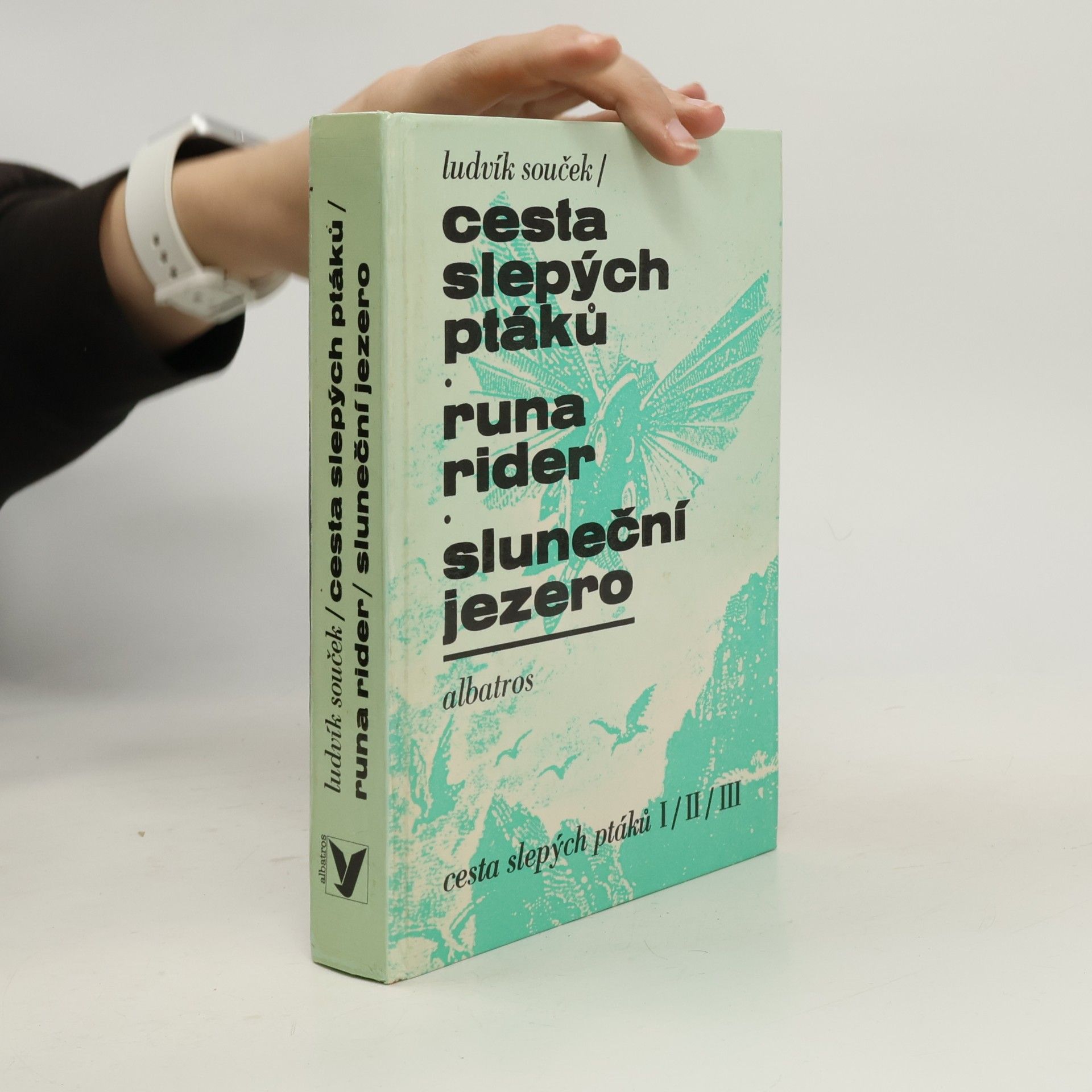 cesta slepých ptáků I/II/III