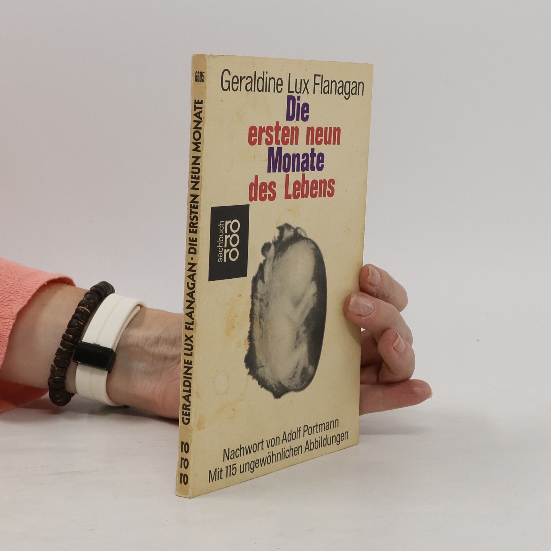 Die ersten neun Monate des Lebens