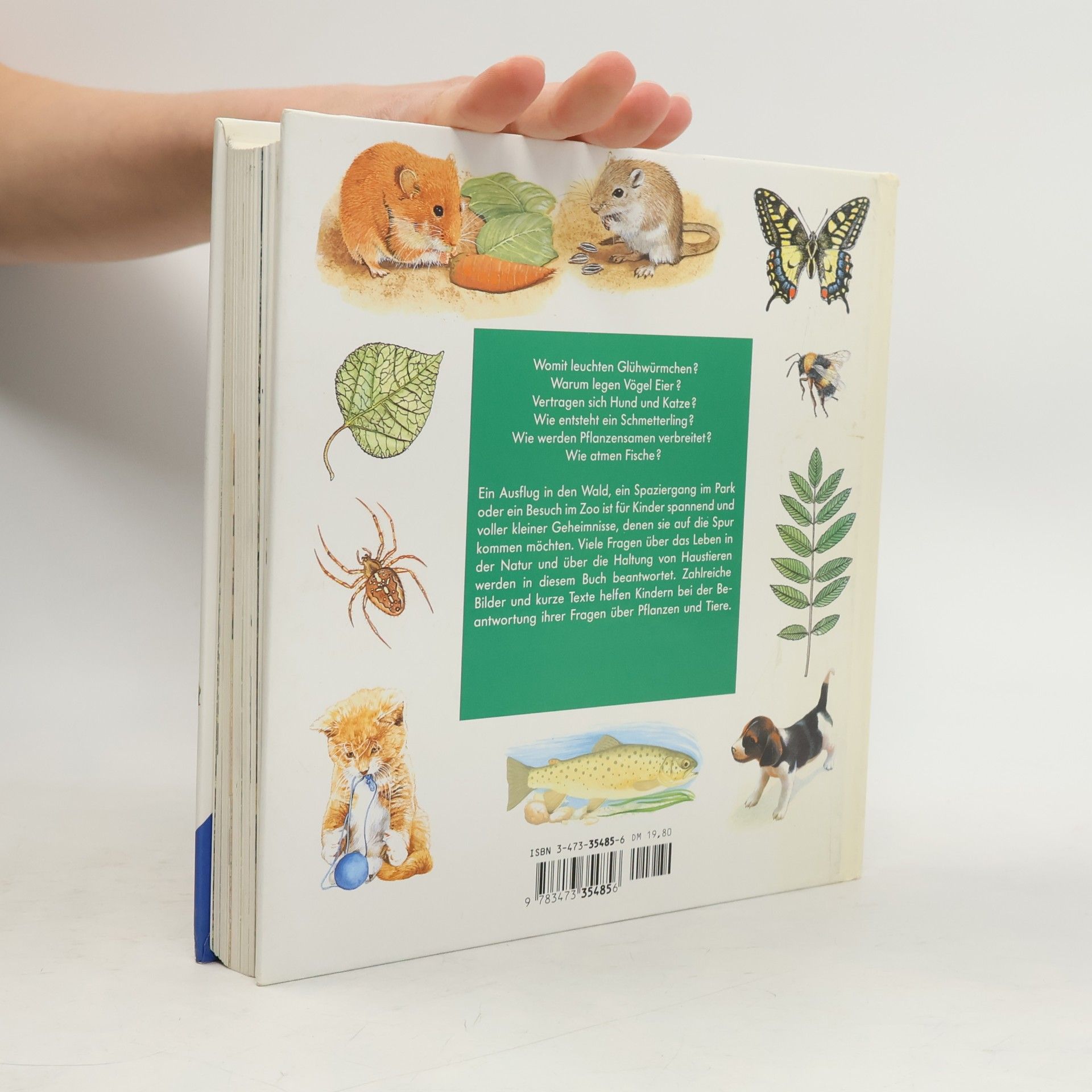 Ravensburger Buchverlag Alles was ich wissen will