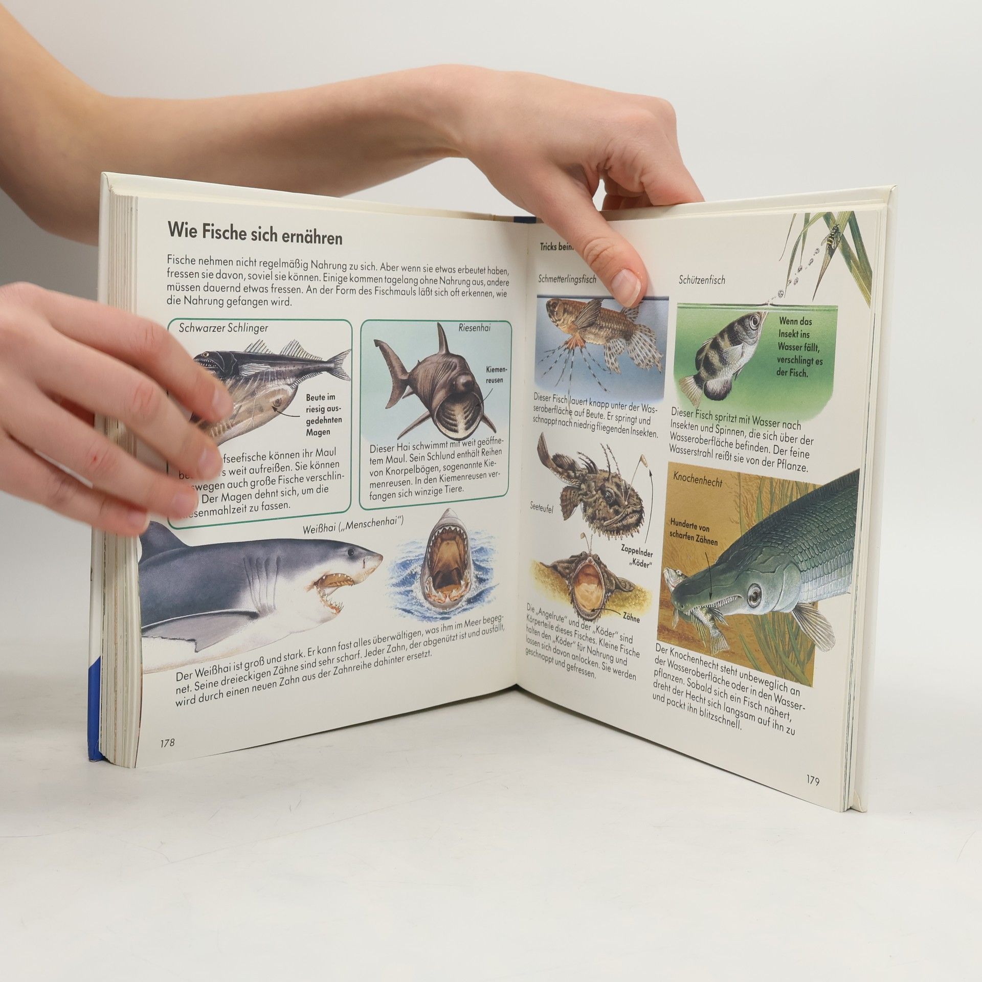 Ravensburger Buchverlag Alles was ich wissen will