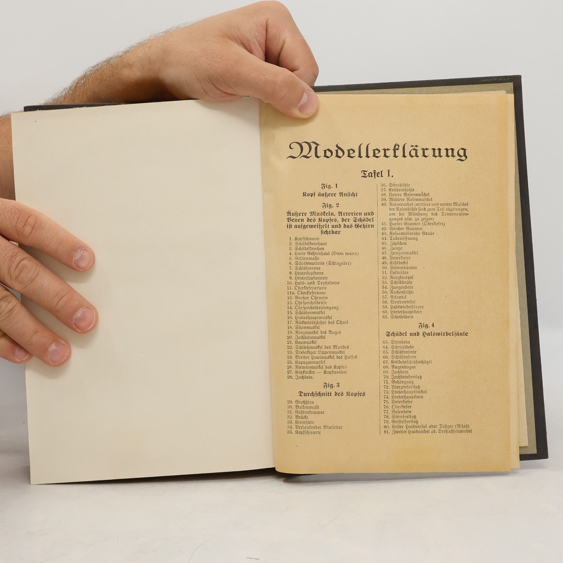 F. König Ratgeber in gesunden und kranken Tagen 1