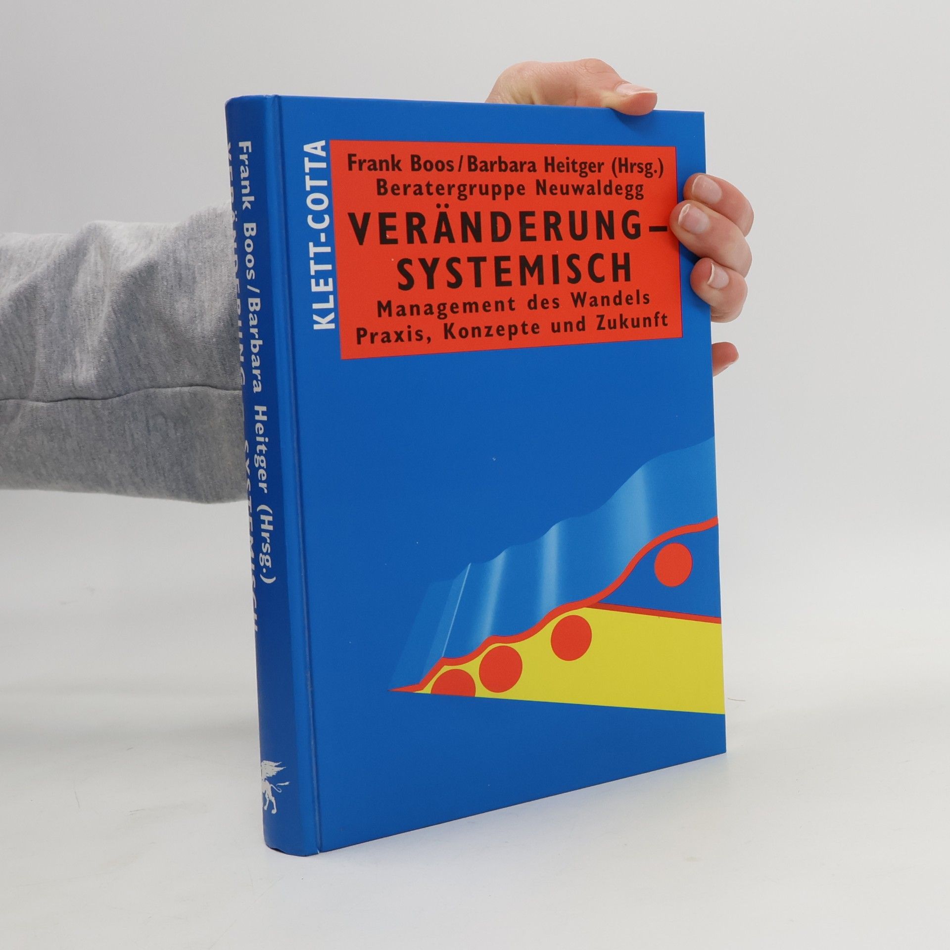 Frank Boos Veränderung - systemisch
