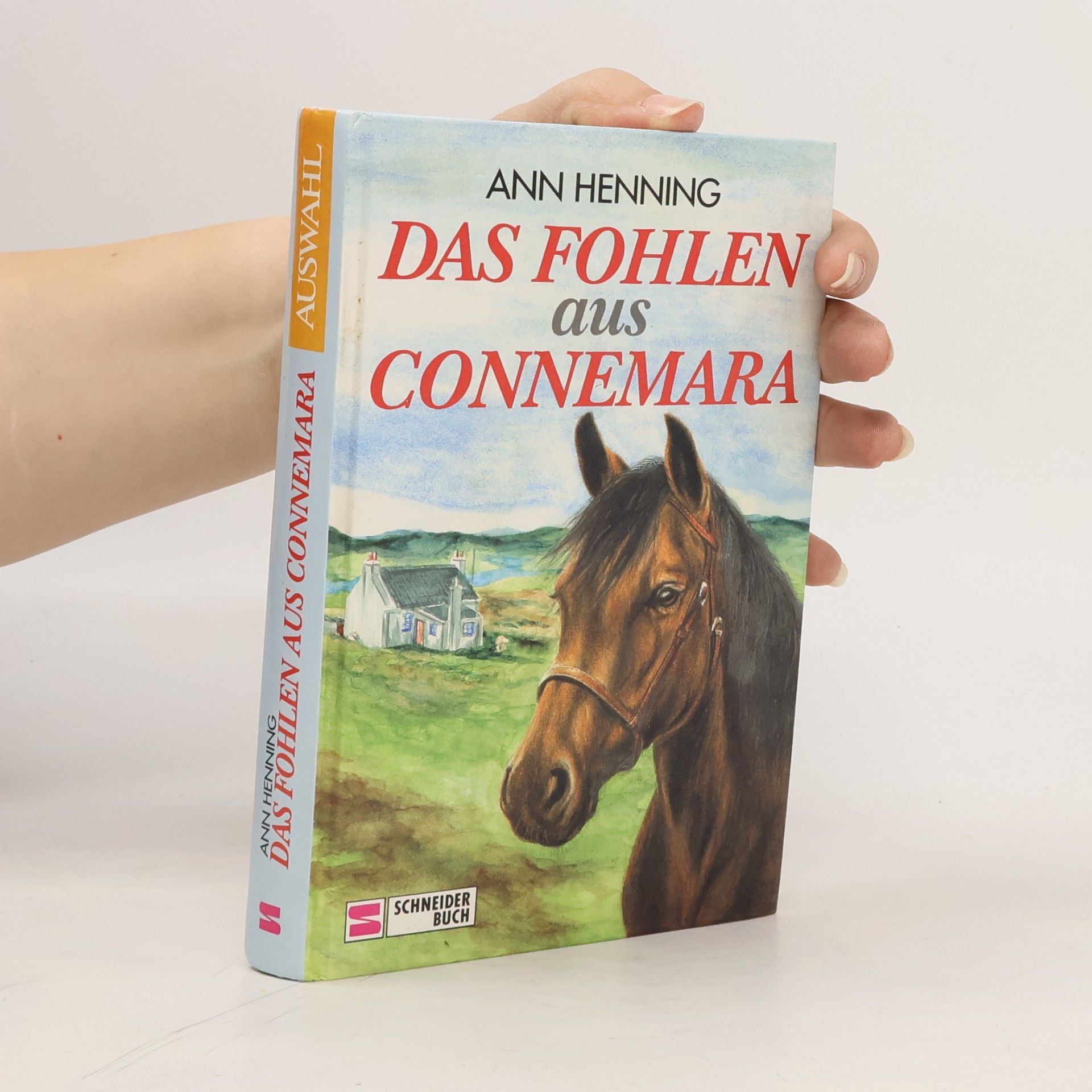 Das Fohlen aus Connemara