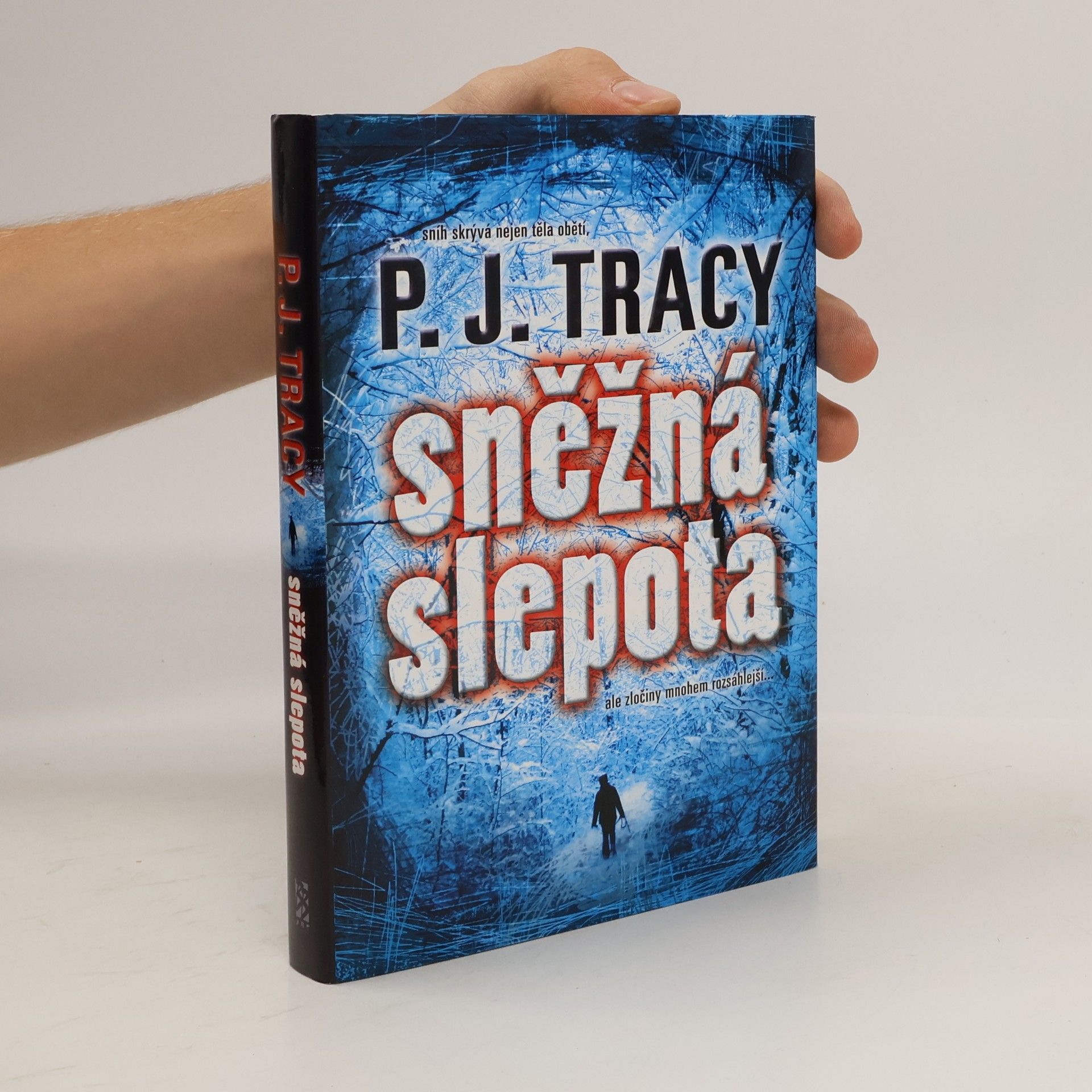 Sněžná slepota