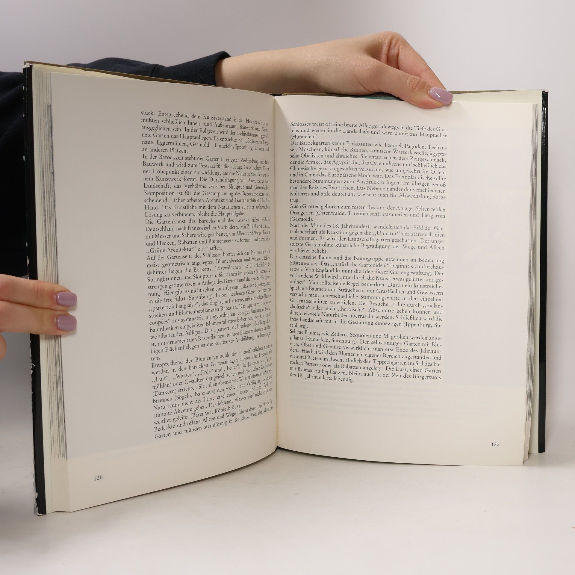 Edgar Felix Warnecke Das grosse Buch der Burgen und Schlösser im Land von Hase und Ems