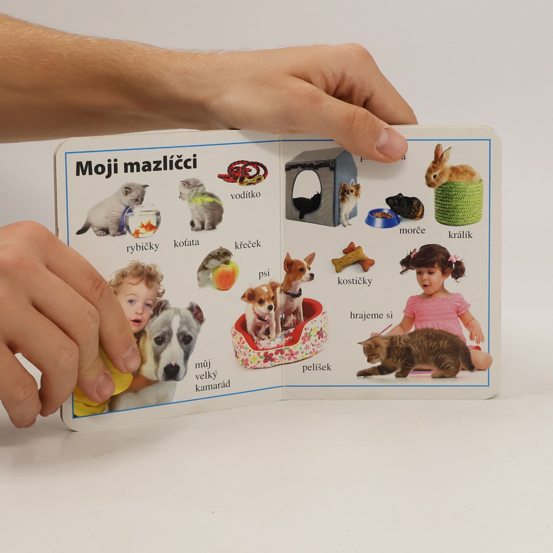 Autores varios Můj den