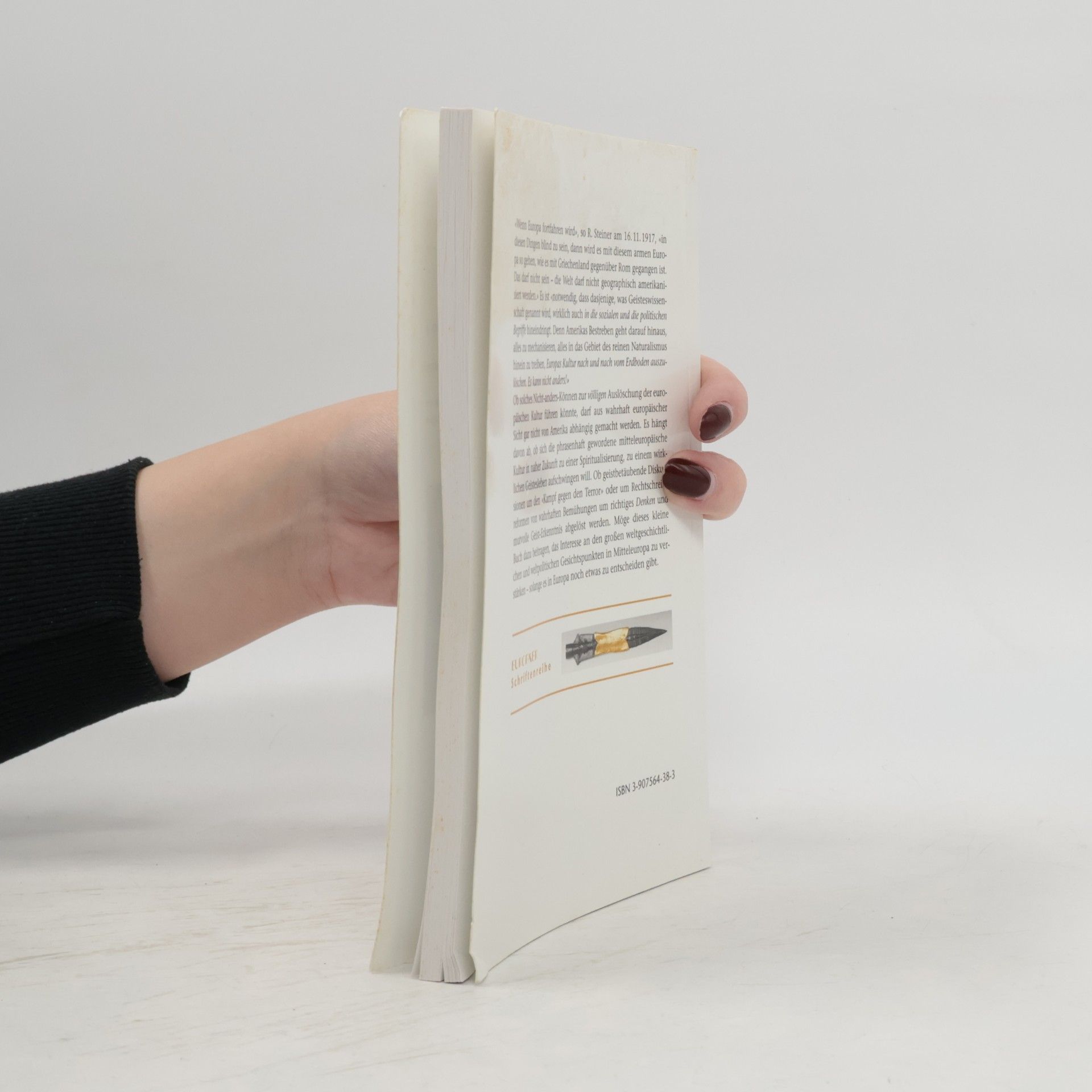Thomas Meyer Europäische Schriftenreihe: Brückenbauer müssen die Menschen werden. Mit einem erstmals publizierten Text R. Steiners