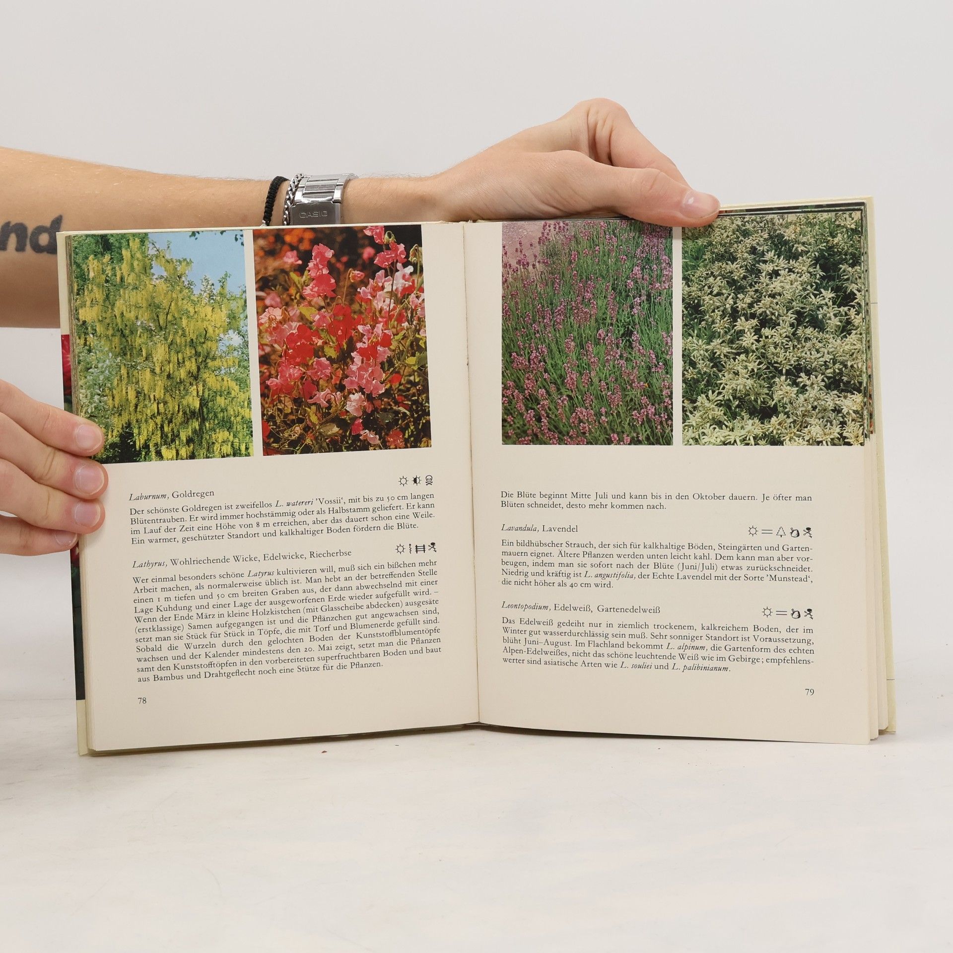 Rob Hewig 201 Gartenpflanzen in Farbe