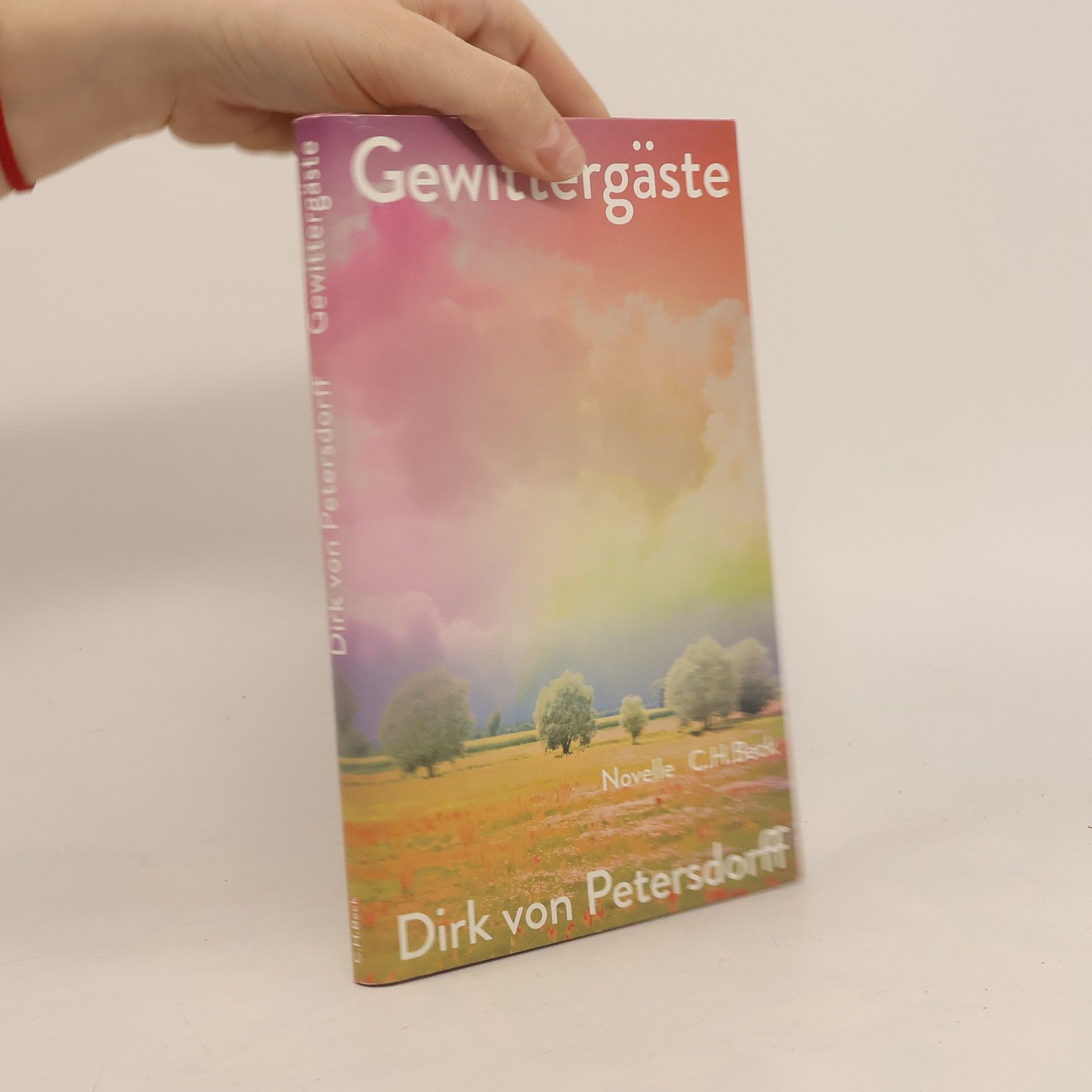 Gewittergäste