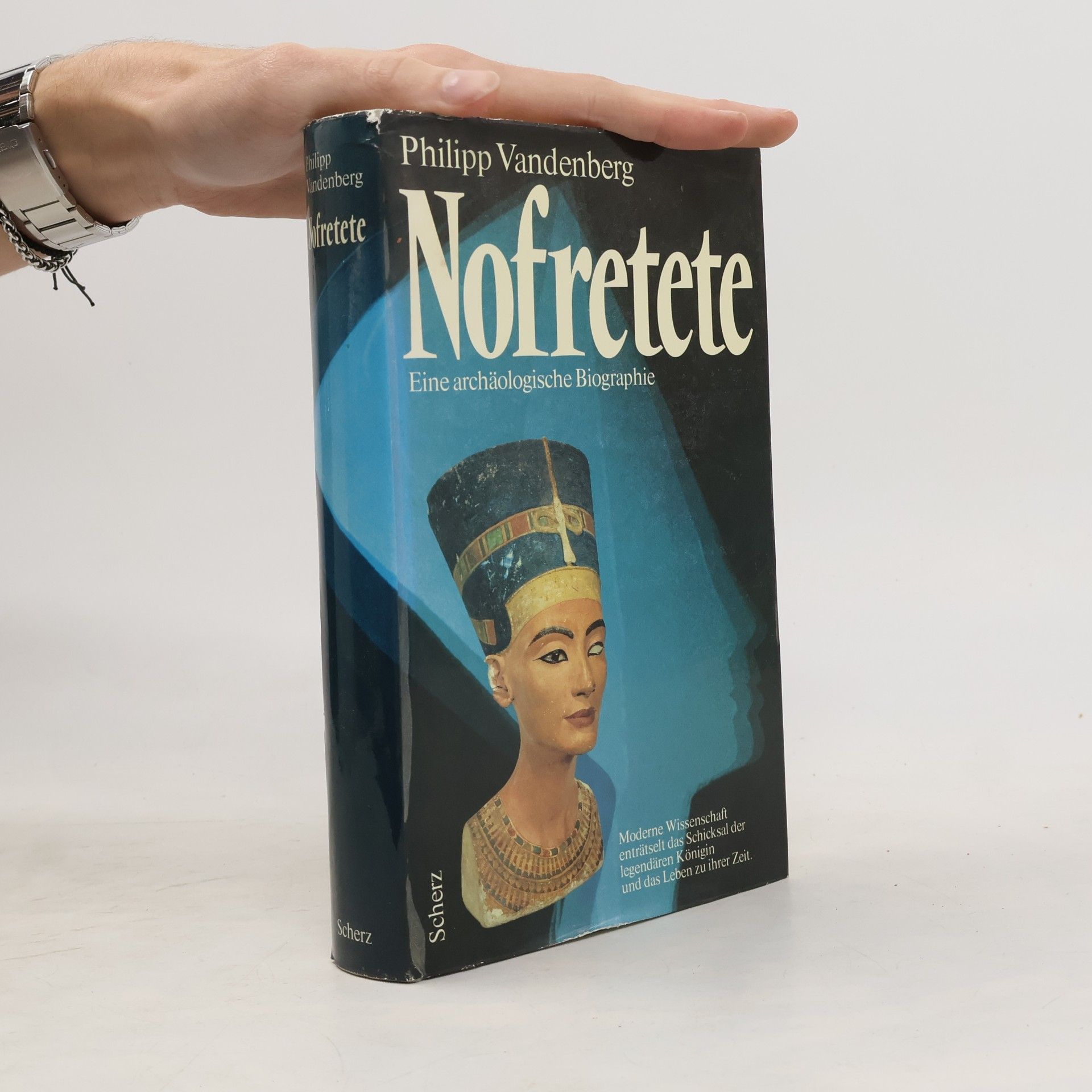 Nofretete und ihre Zeit. Eine archäologische Biografie