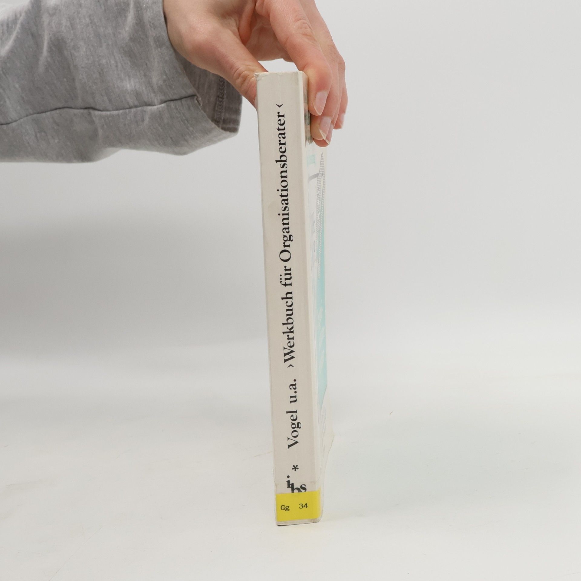 Hans-Christoph Vogel Werkbuch für Organisationsberater