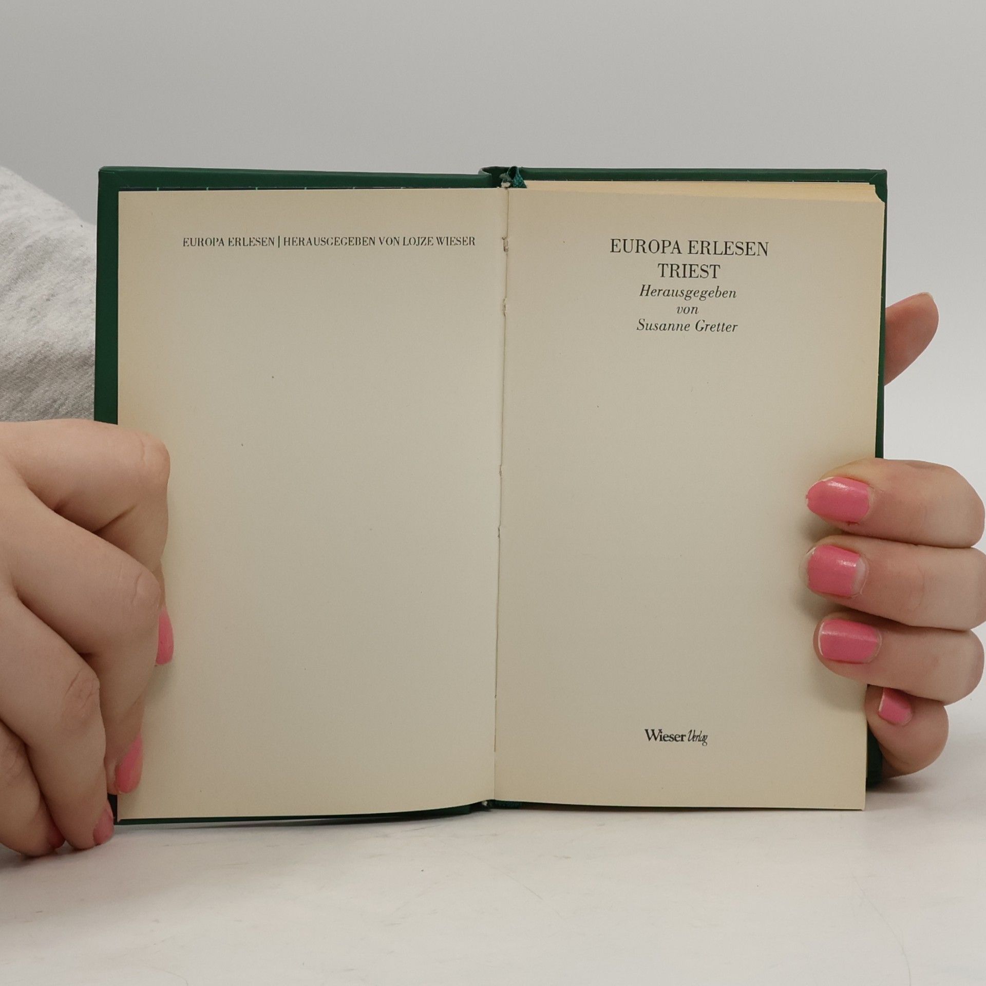Autorenkollektiv Triest Europa Erlesen