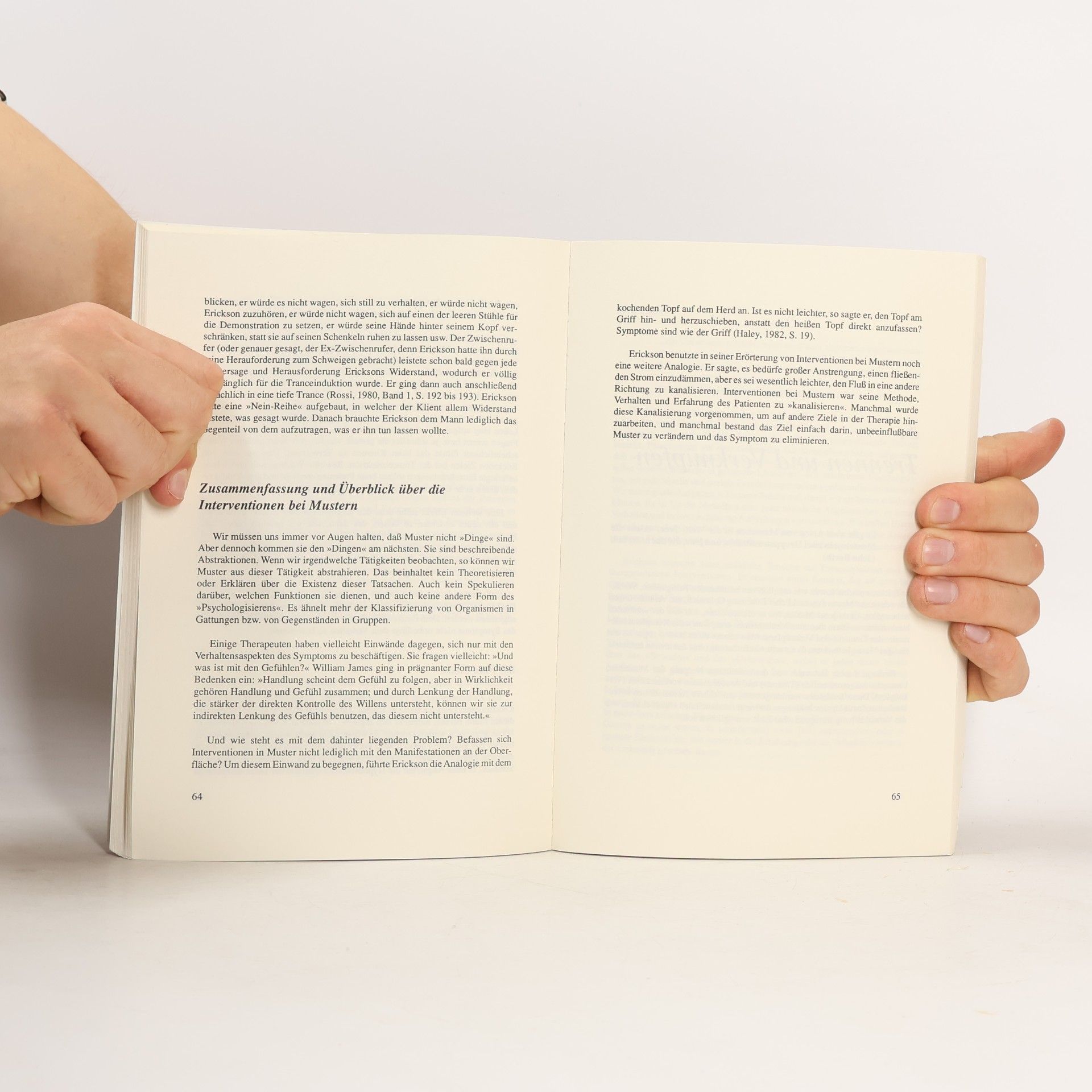 William Hudson O. Hanlon Psychotherapie ohne Dogma 3