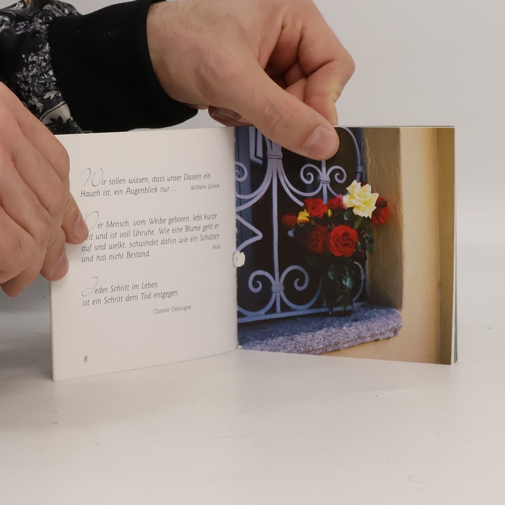 Kleine Perlen-Bibliothek: Mit Trostworten