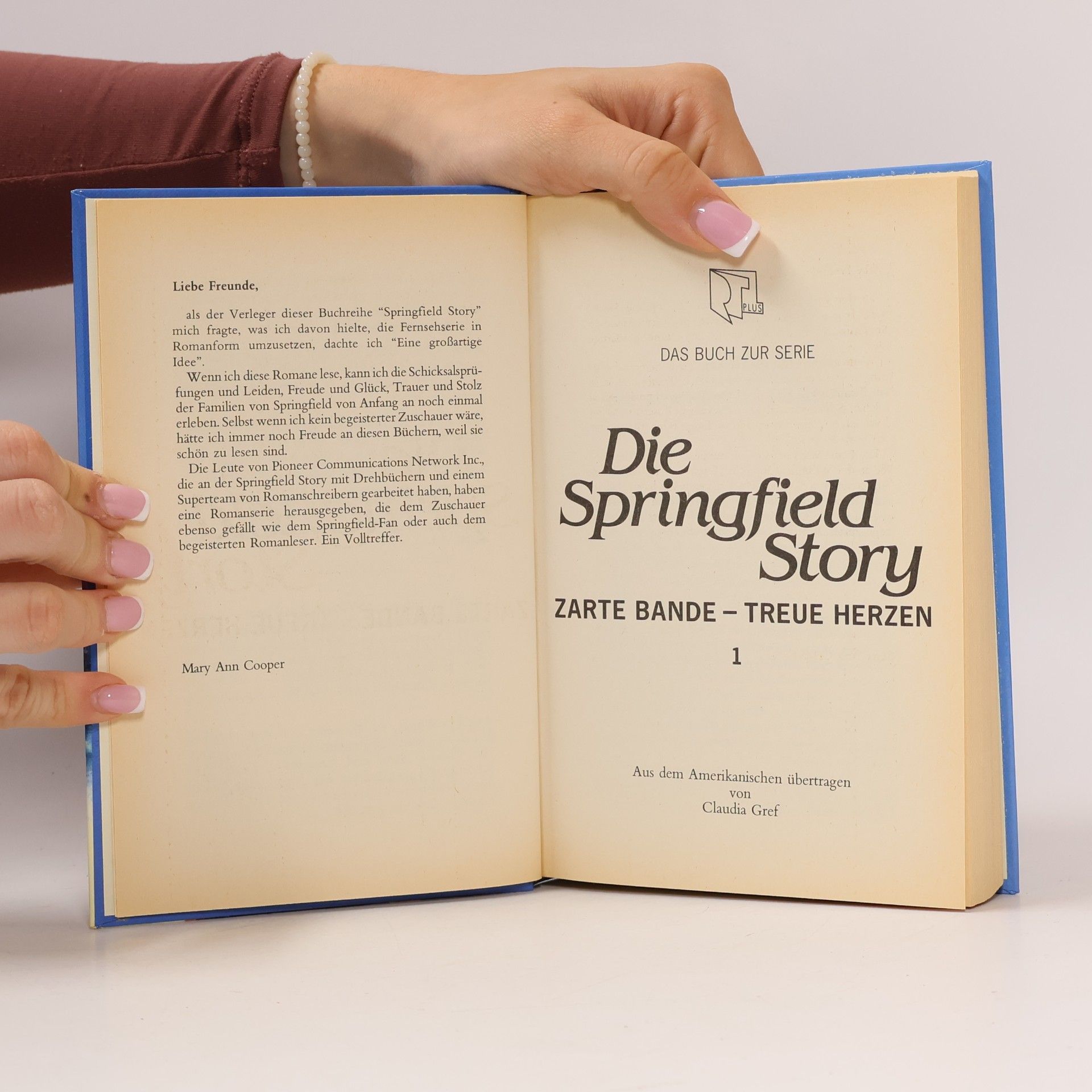 Kolektiv autorů Die Springfield Story 1