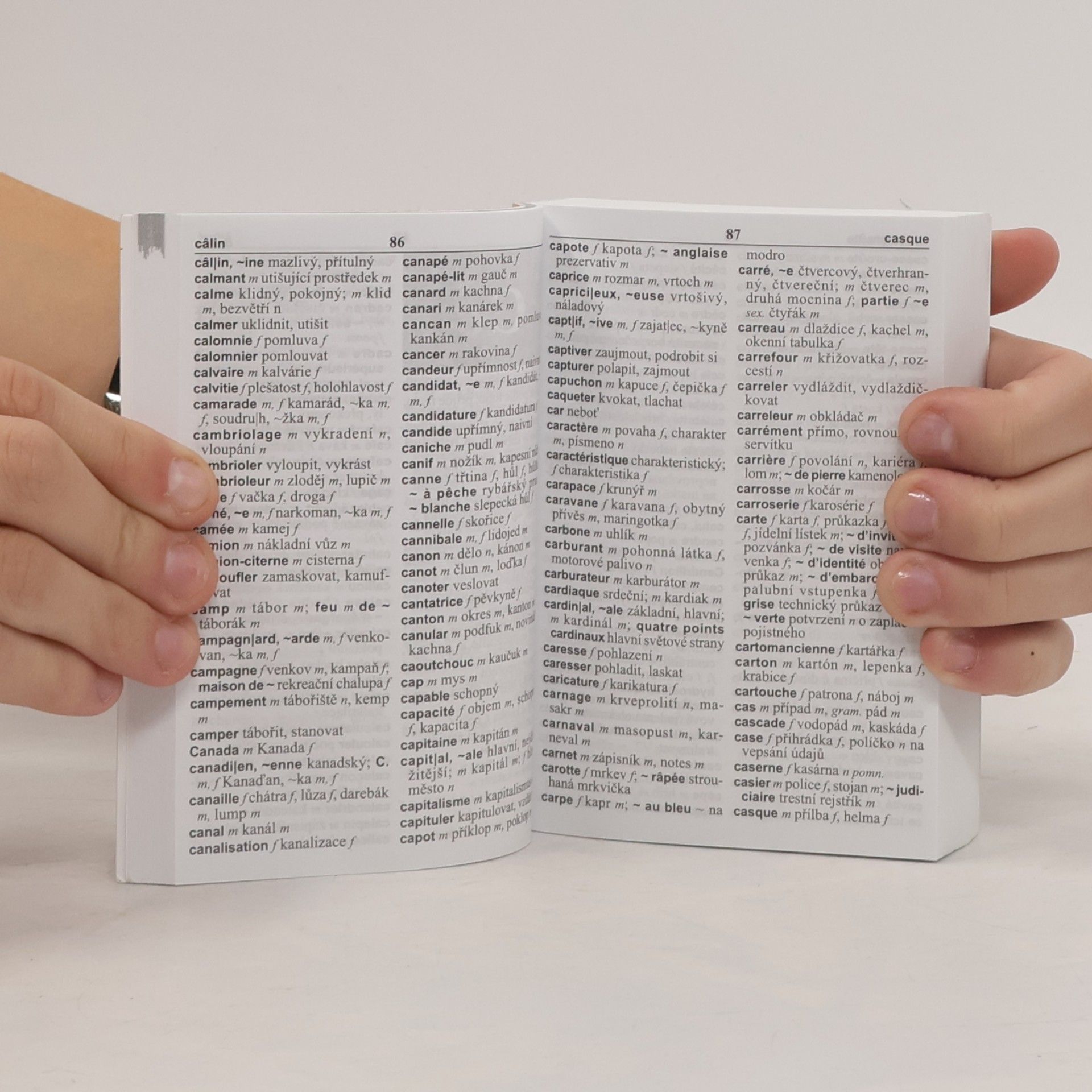 AA.VV. Francouzsko-český, česko-francouzský kapesní slovník = Dictionnaire français-tchèque, tchèque-français