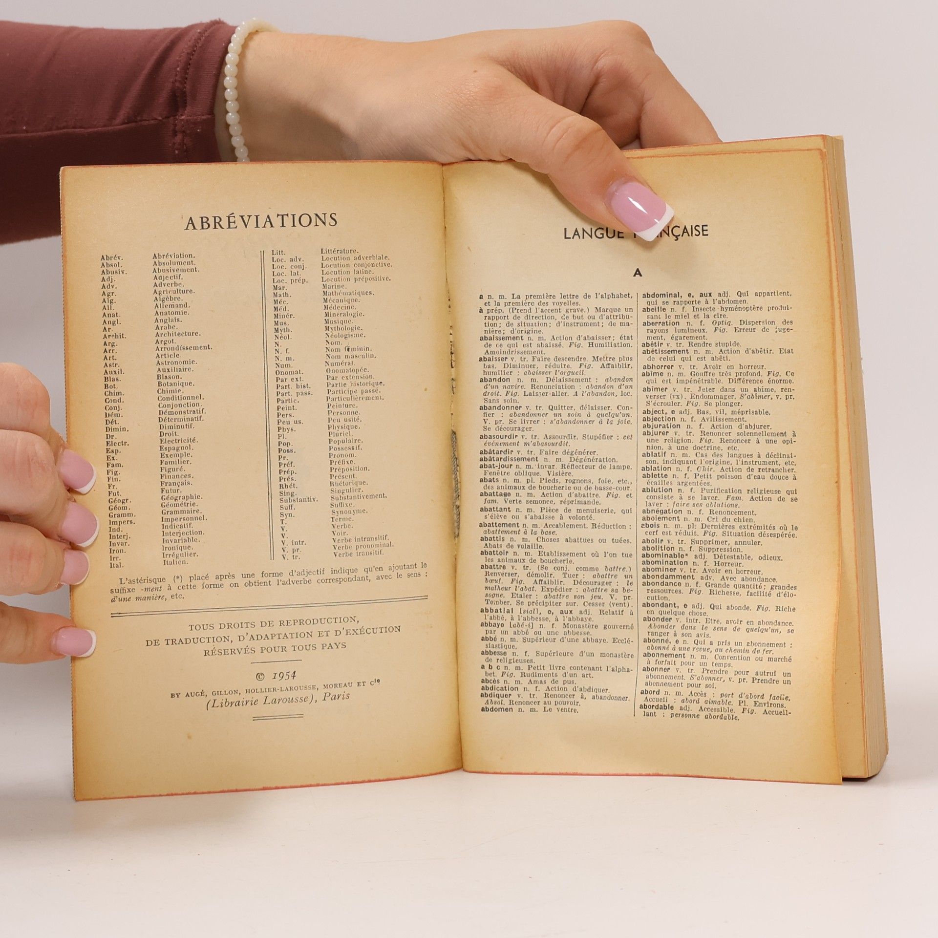 Kolektiv autorů Larousse de poche