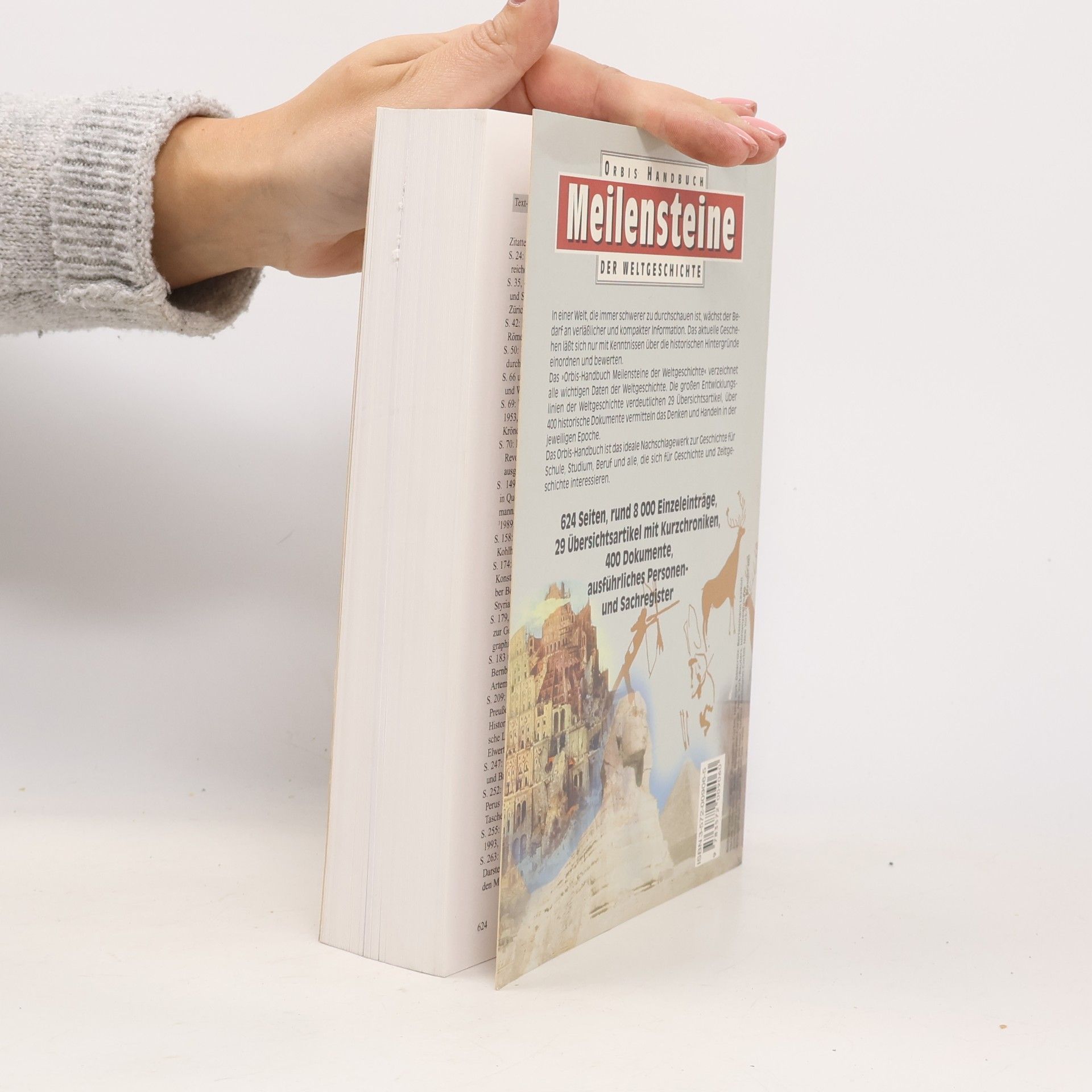 Brigitte Esser Orbis-Handbuch Meilensteine der Weltgeschichte