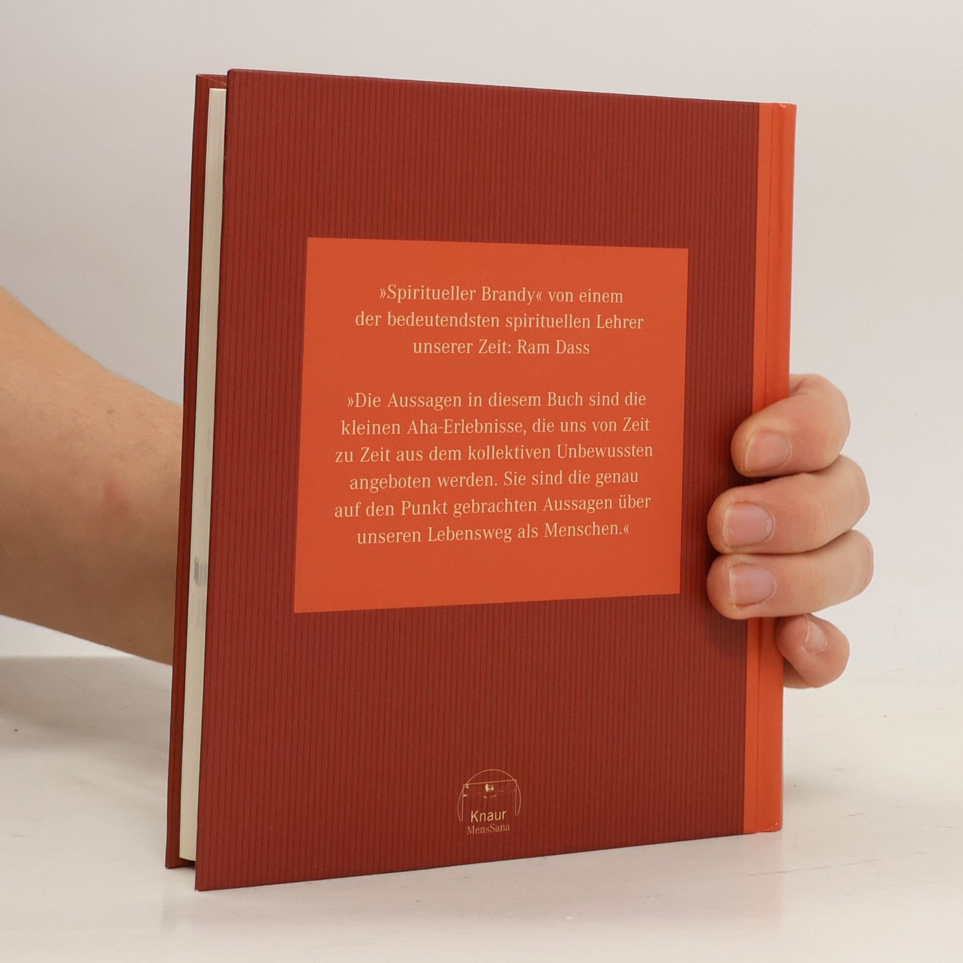 Ram Dass Das kleine Buch fürs Wesentliche