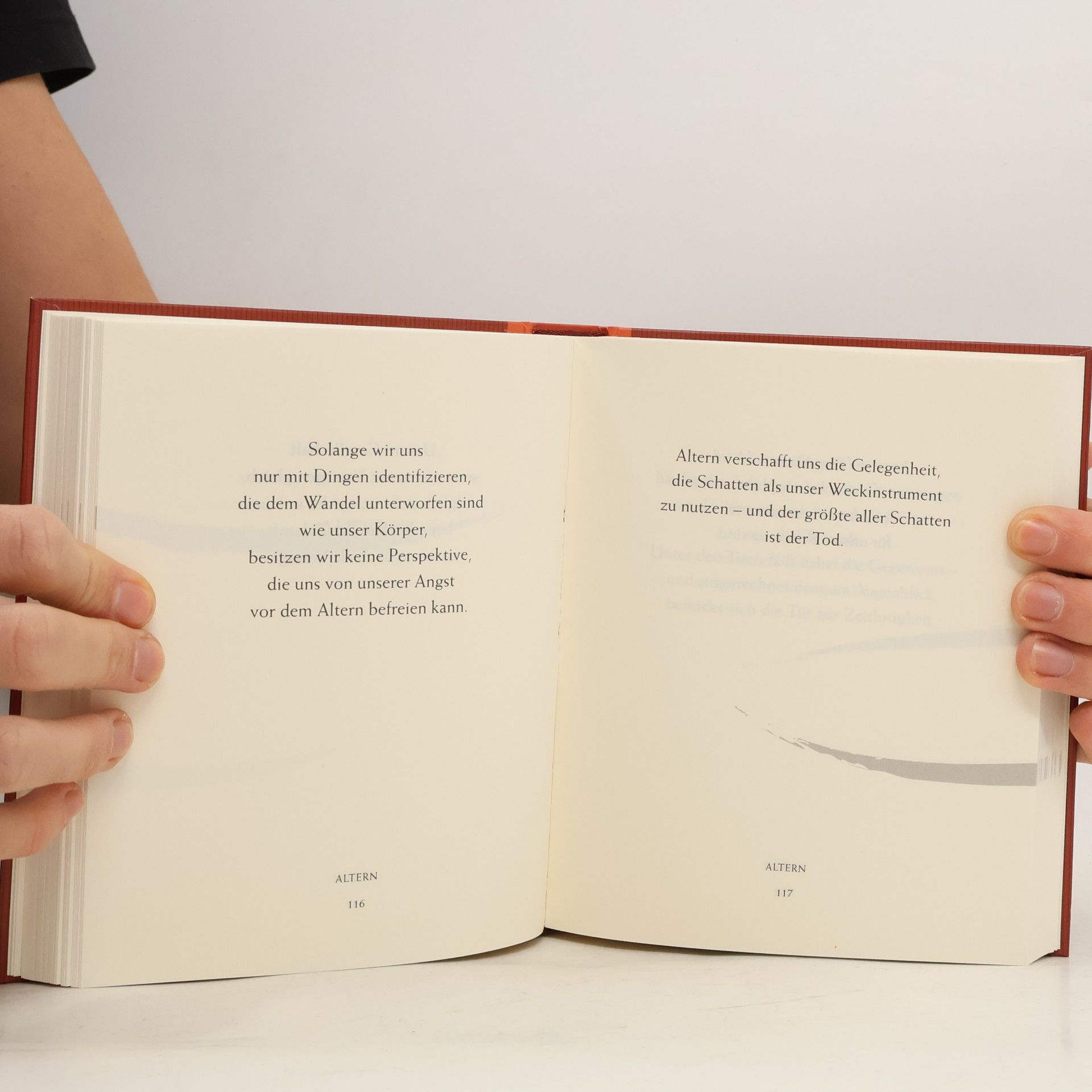Ram Dass Das kleine Buch fürs Wesentliche