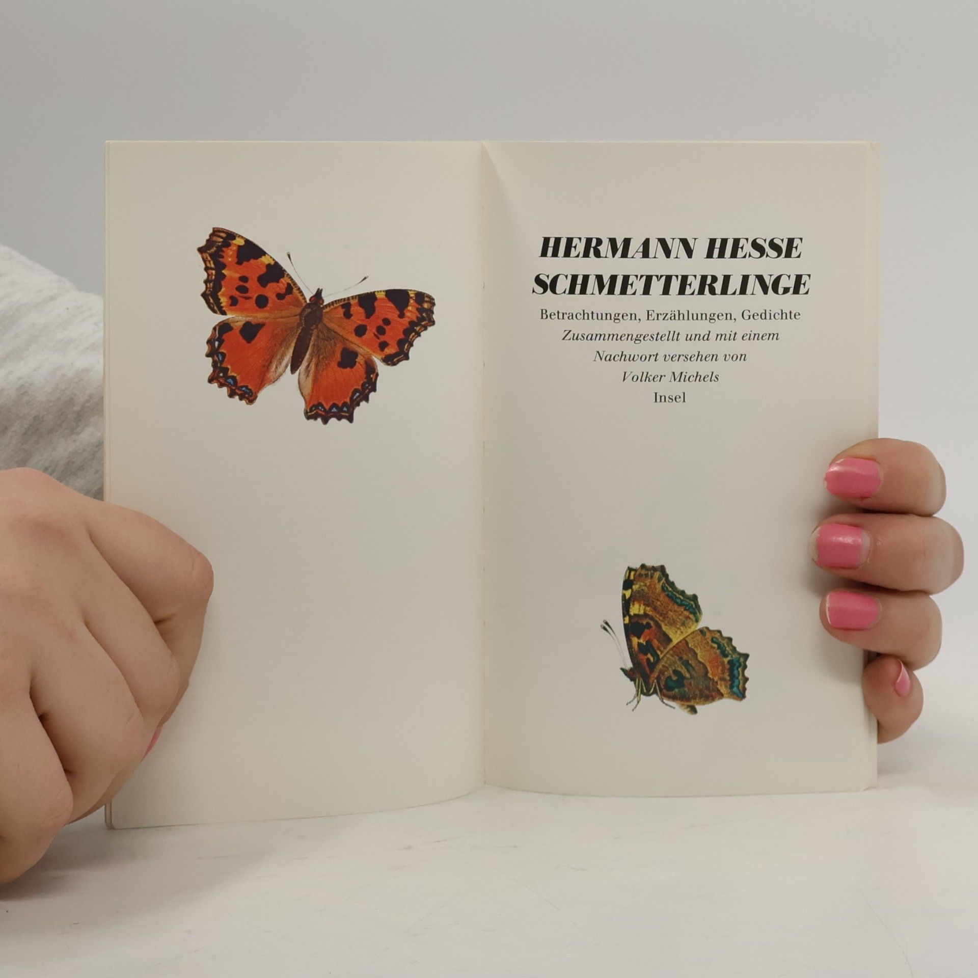Hermann Hesse SCHMETTERLINGE