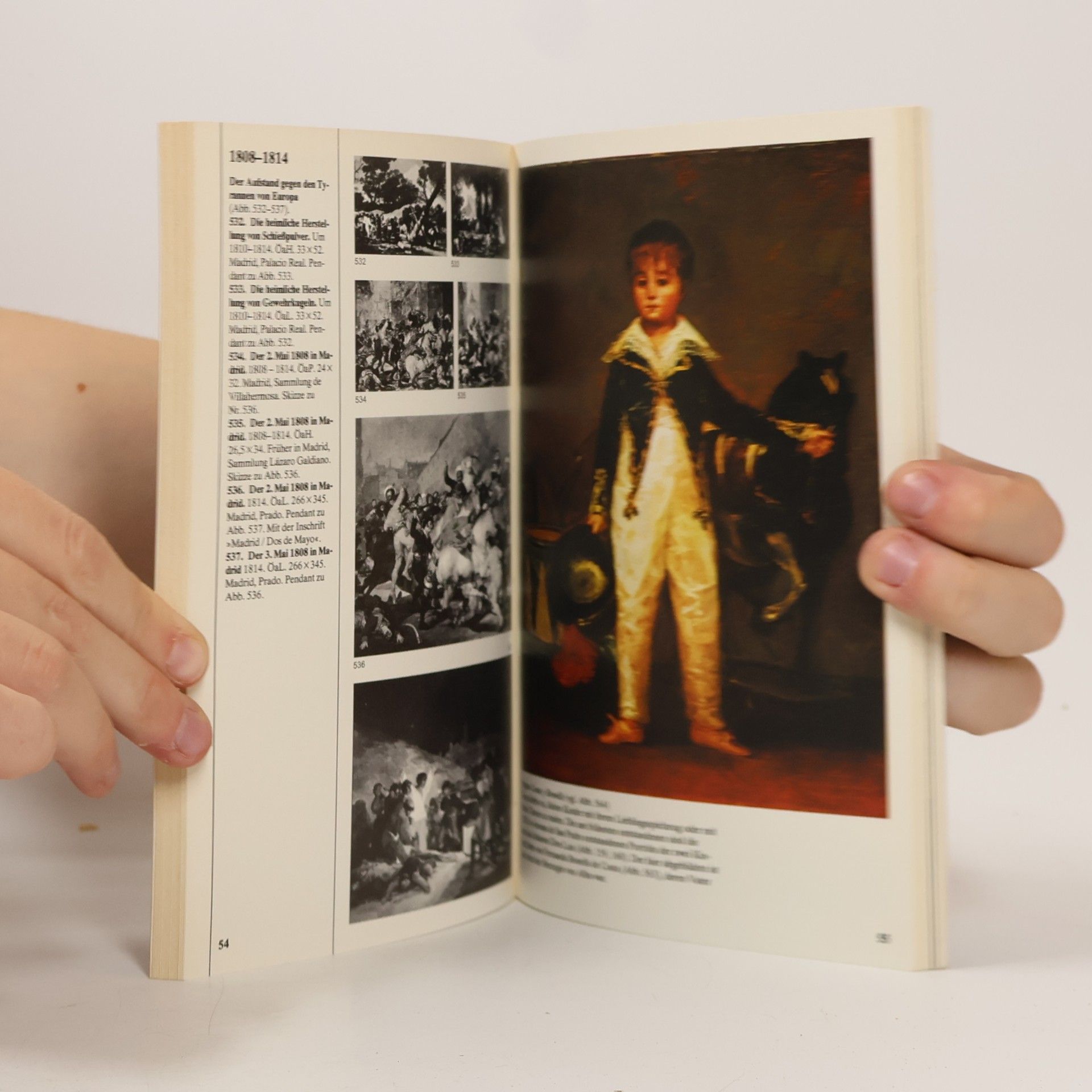 Pierre Gassier Goya II : das Gesamtwerk