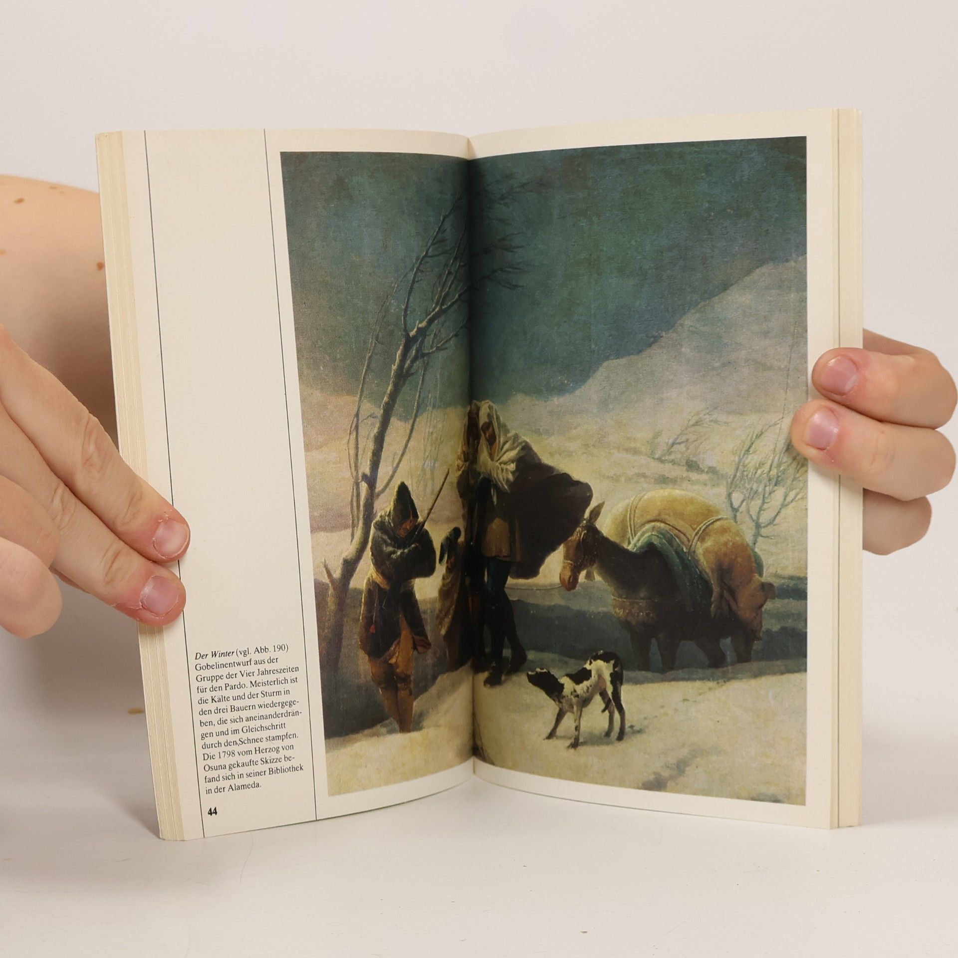 Pierre Gassier Goya I : das Gesamtwerk