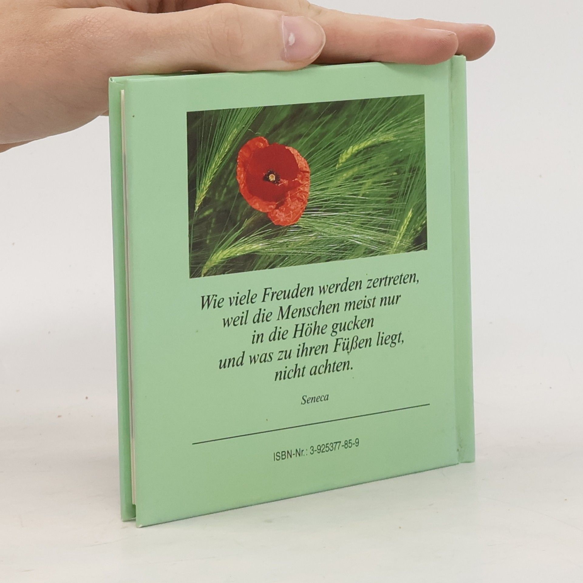 Autorenkollektiv Augenblicke der Freude