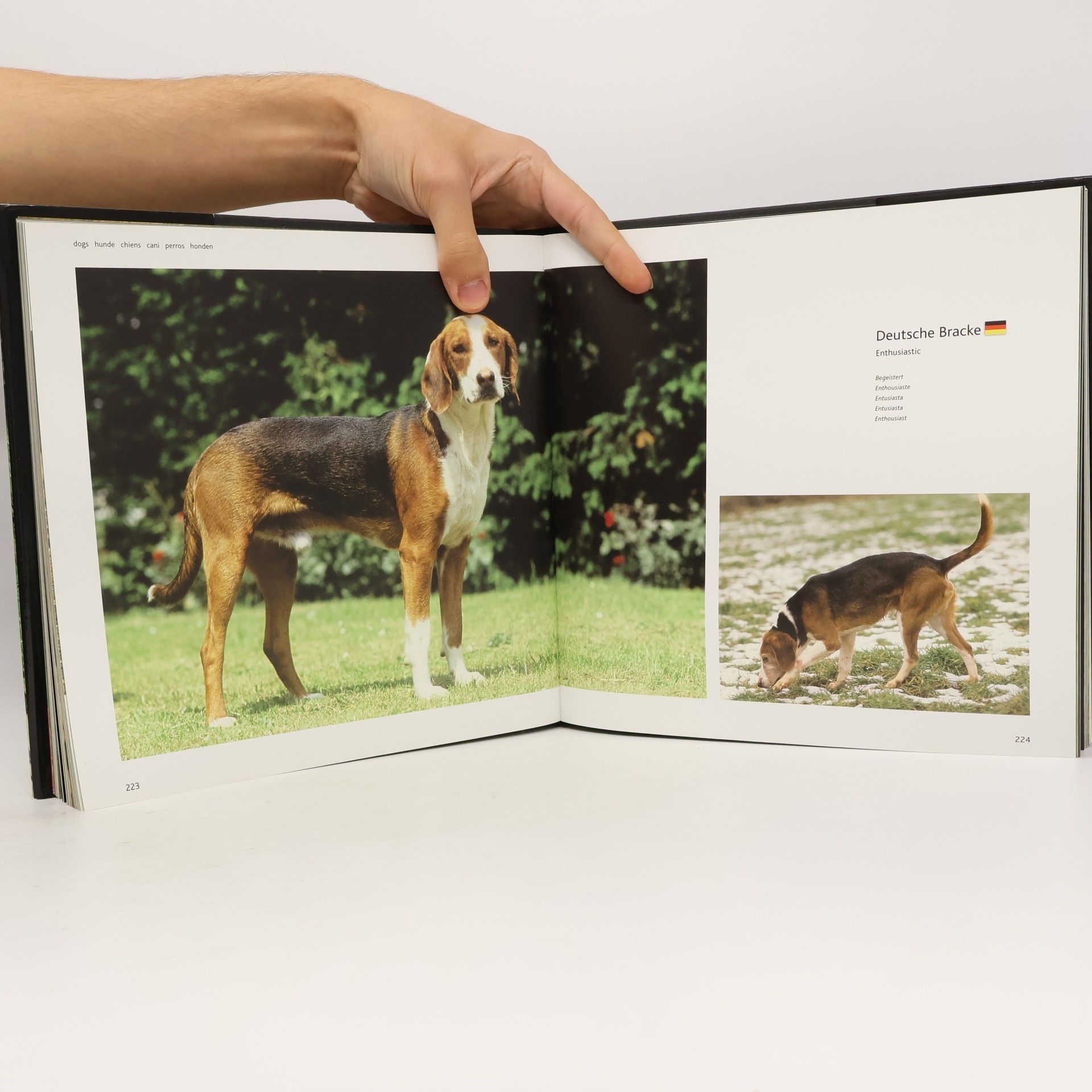 AA.VV. Dogs A-G: hunde chiens cani perros honde