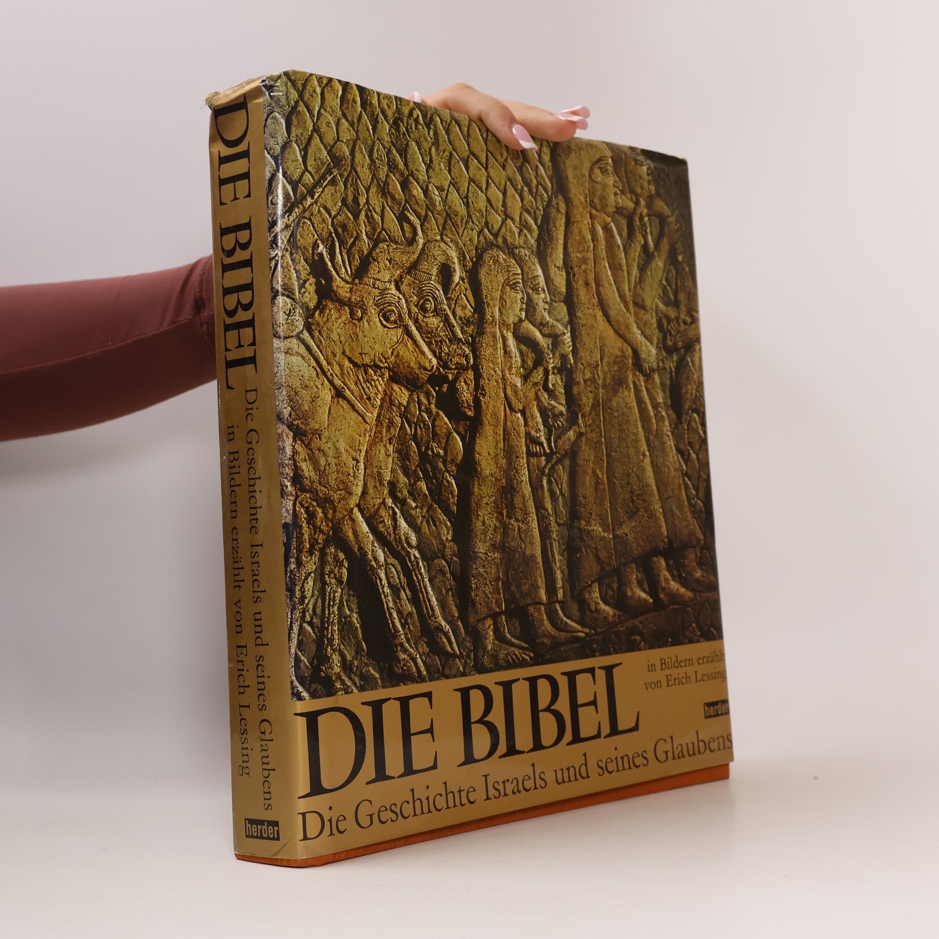 Die Bibel: Die Geschichte Israels und seines Glaubens