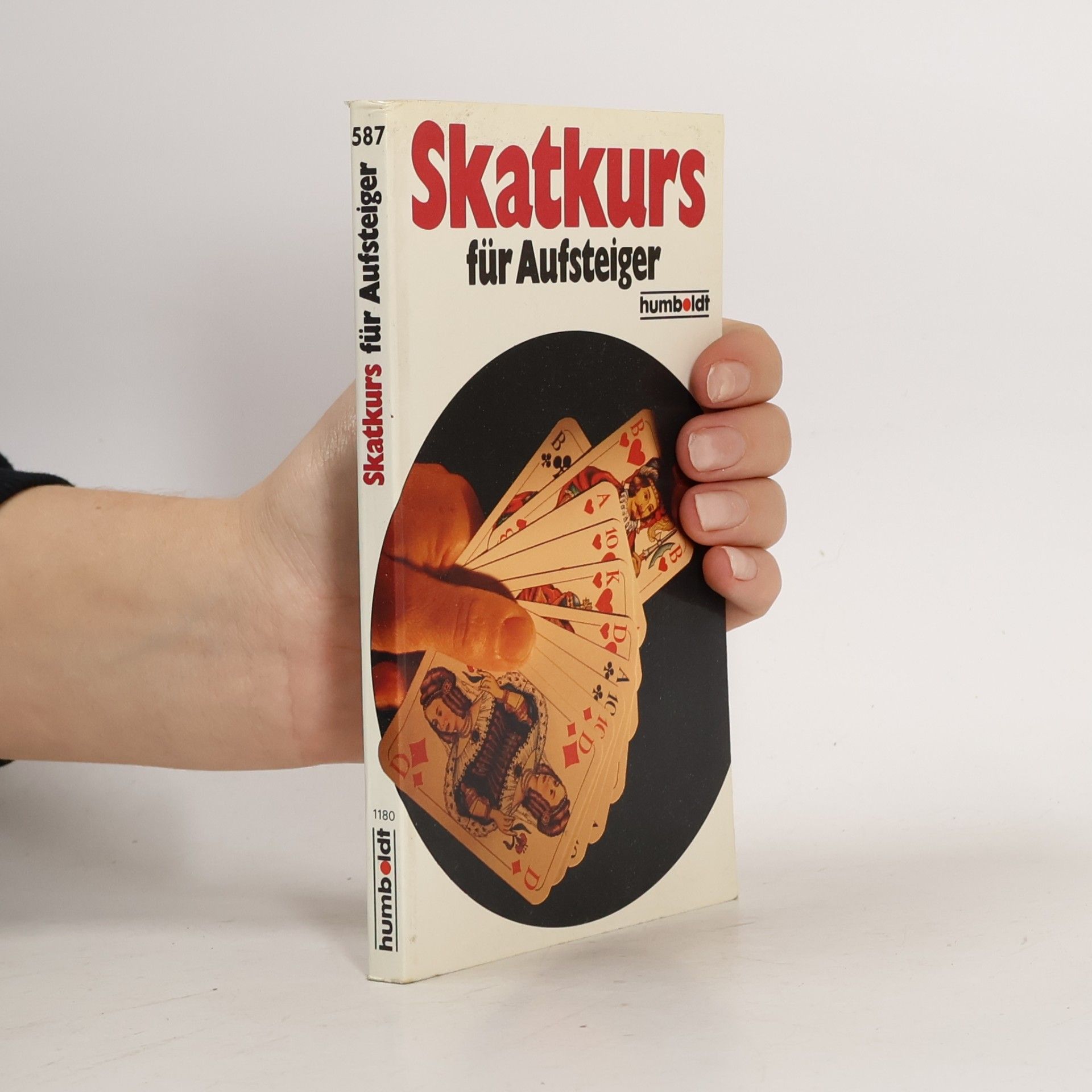 Skatkurs für Aufsteiger
