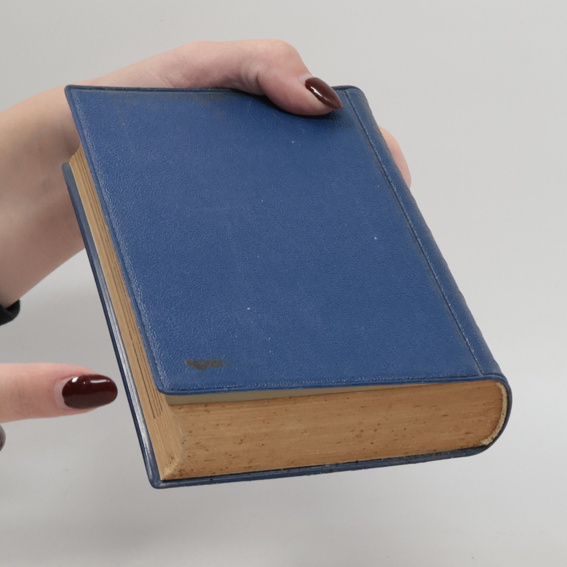 Joseph Briegel Handbuch der Gesundheit