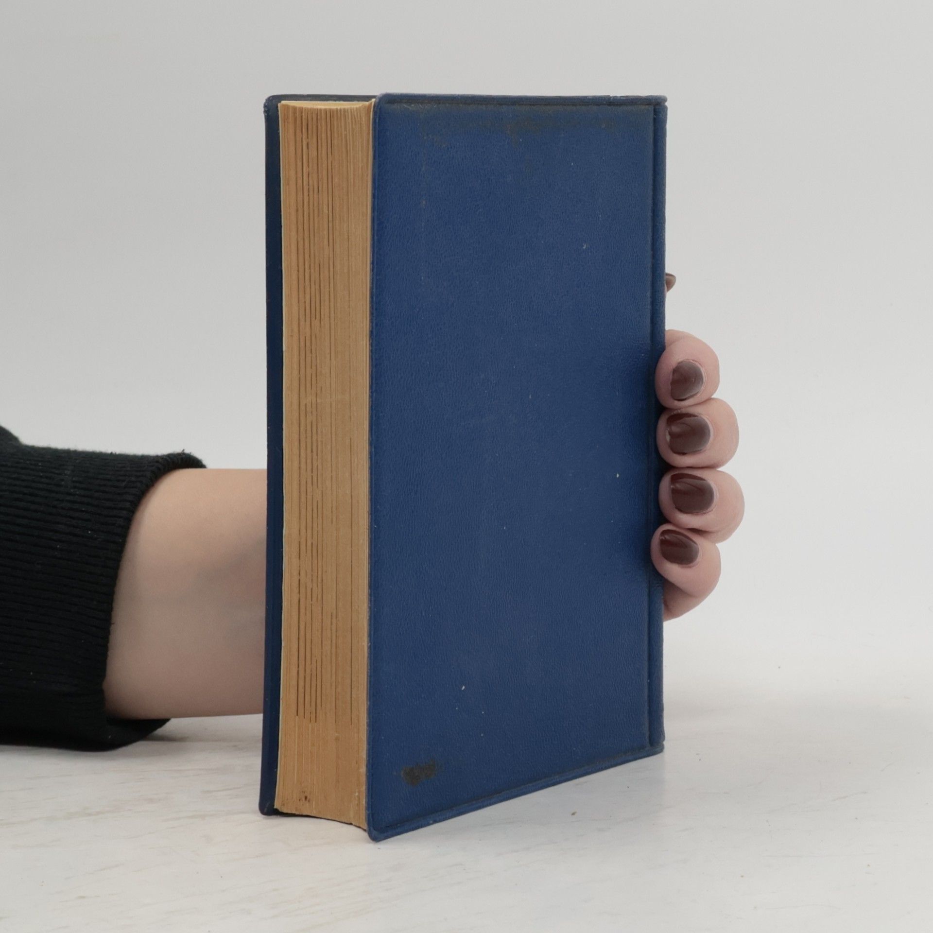 Joseph Briegel Handbuch der Gesundheit